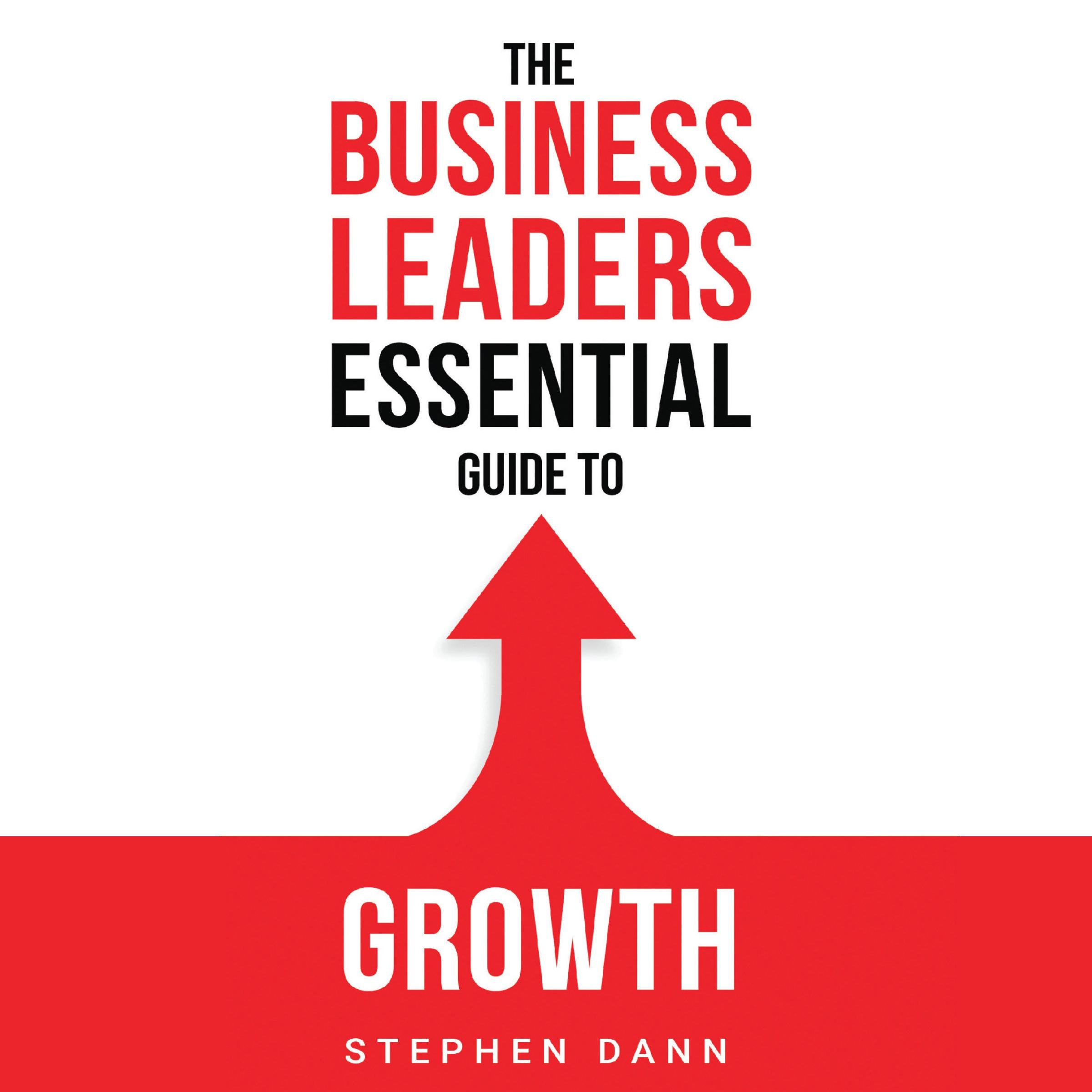 The Business Leaders Essential Guide to Growth