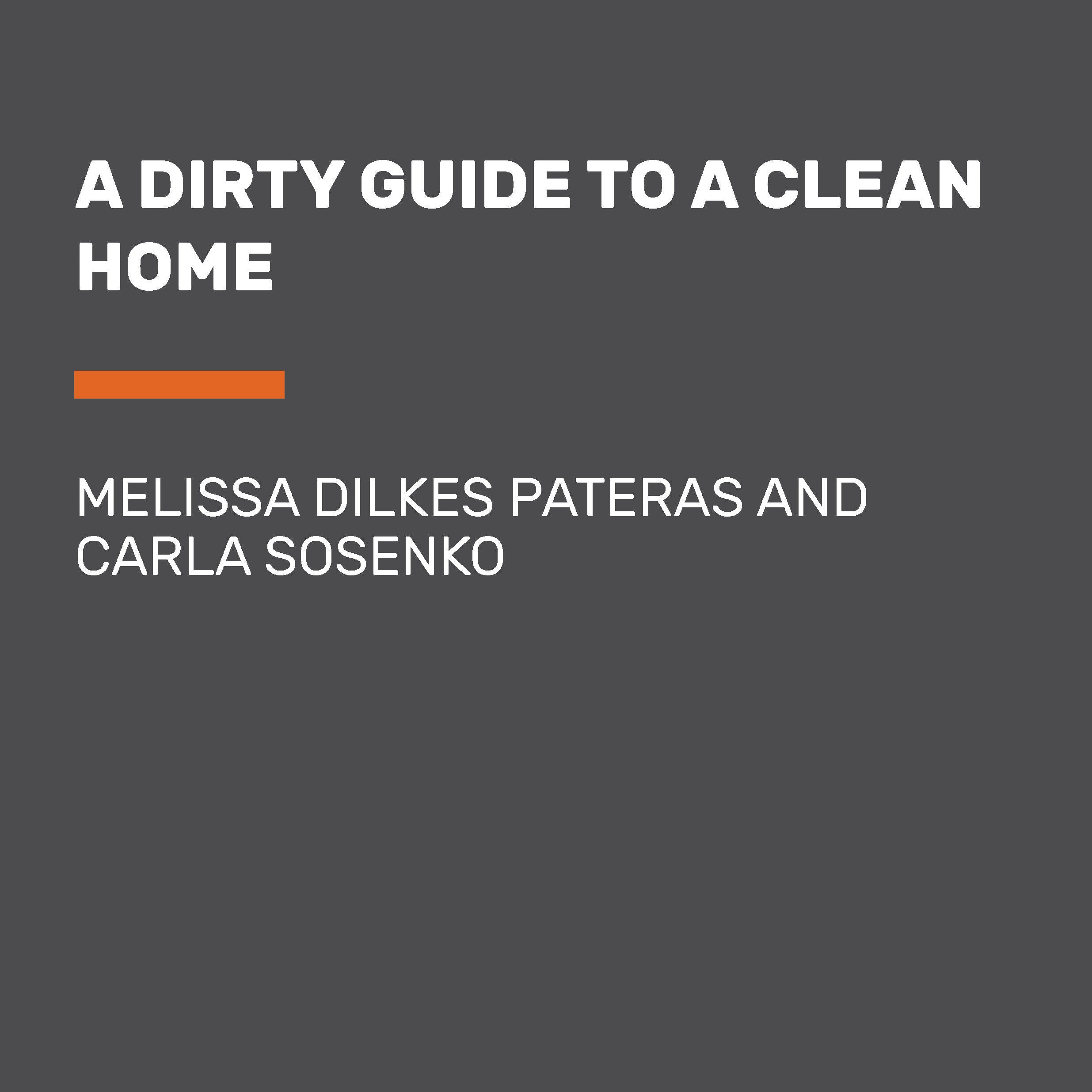 A Dirty Guide to a Clean Home