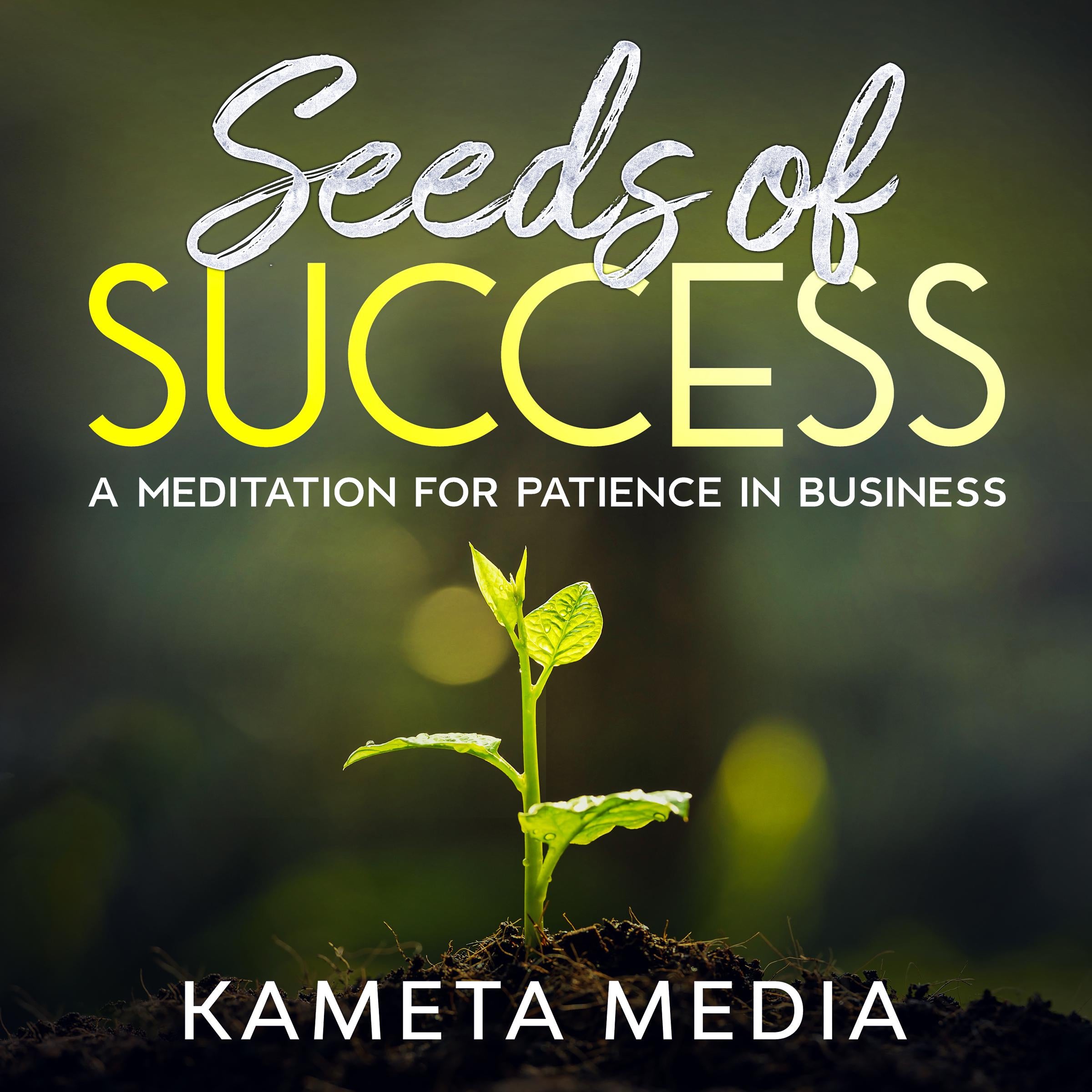 Seeds of Success: A Meditation for Patience in Business