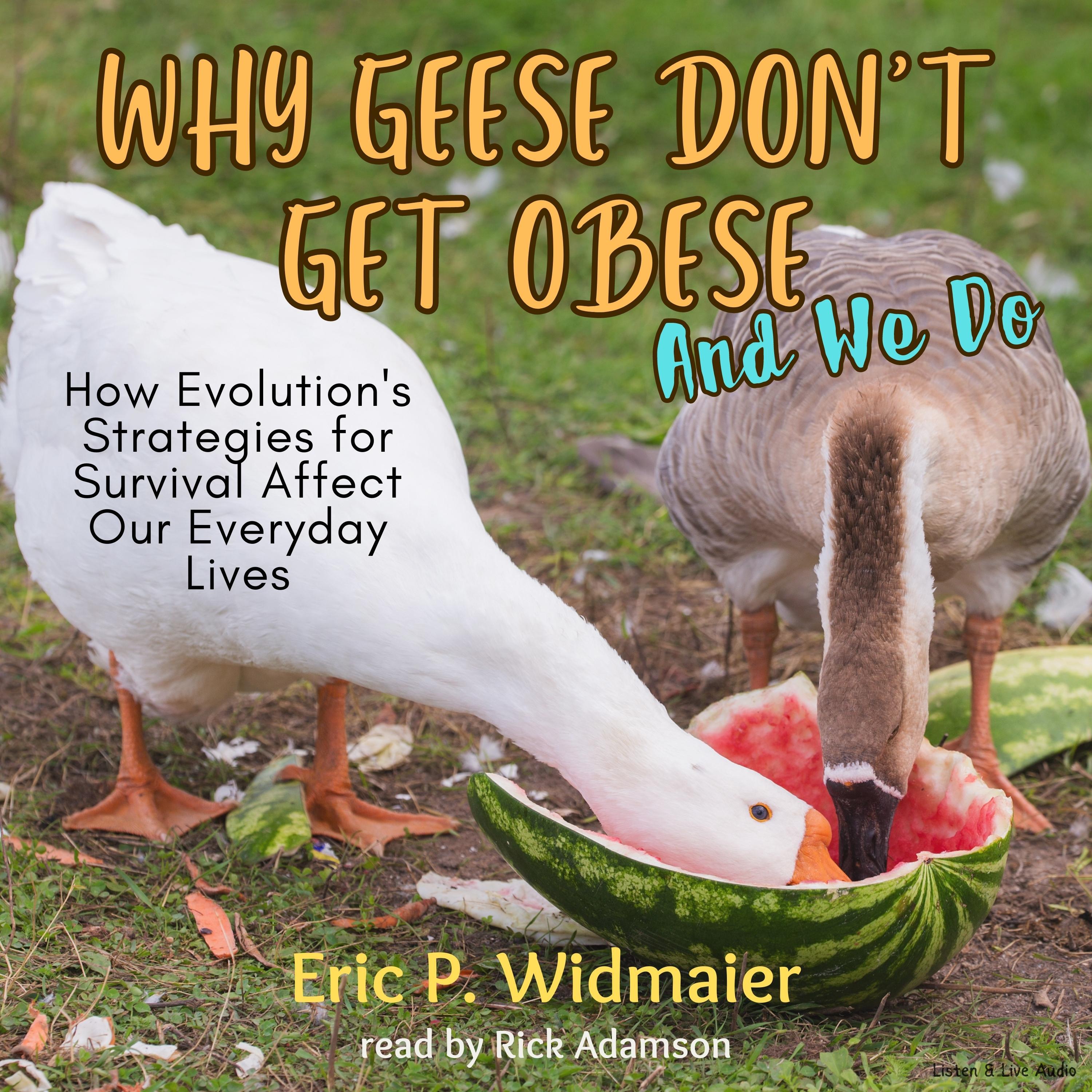 Why Geese Don't Get Obese (And We Do)