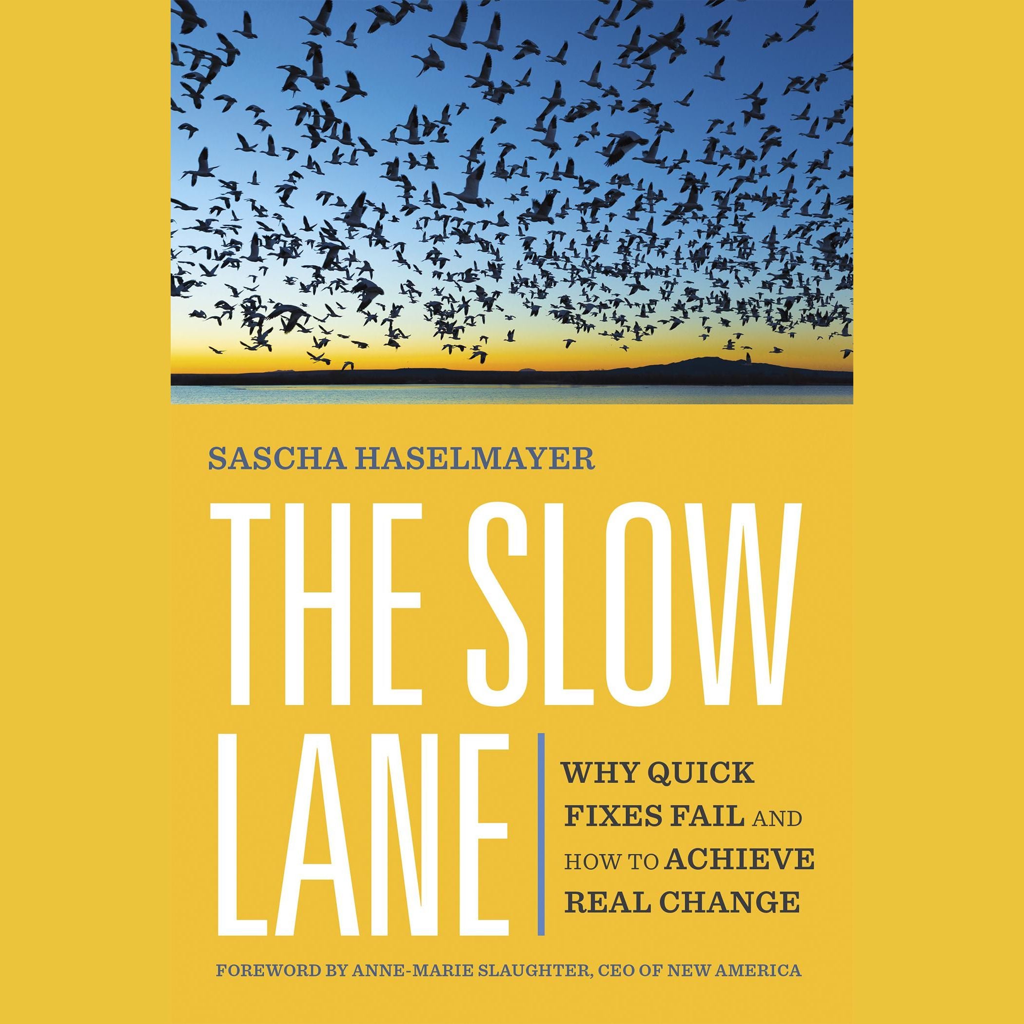 The Slow Lane