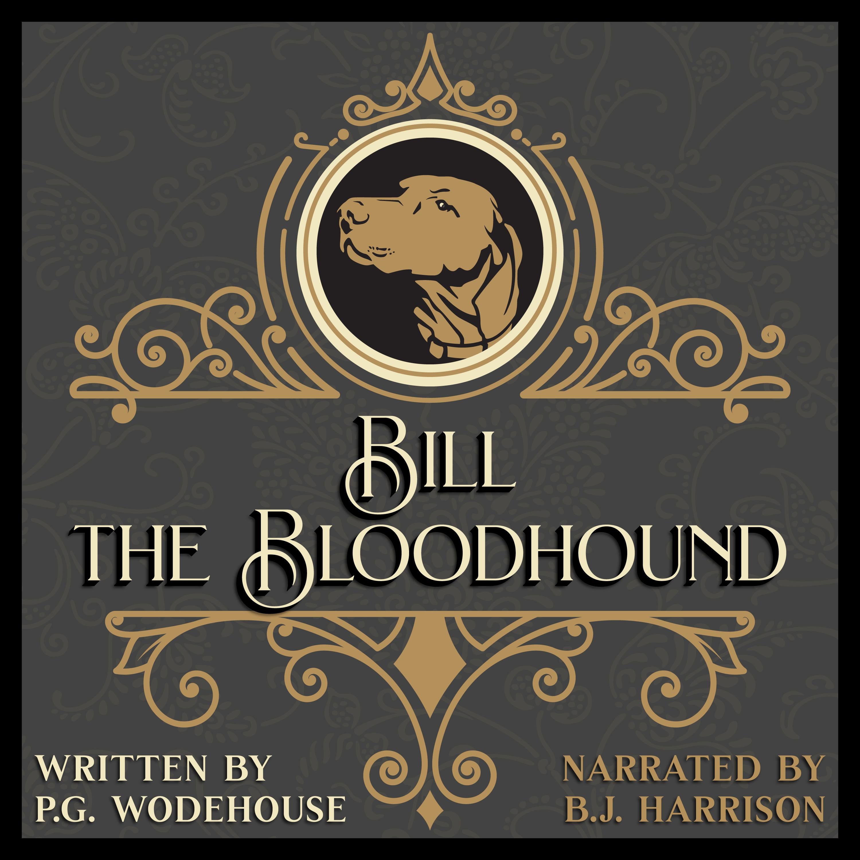 Bill the Bloodhound