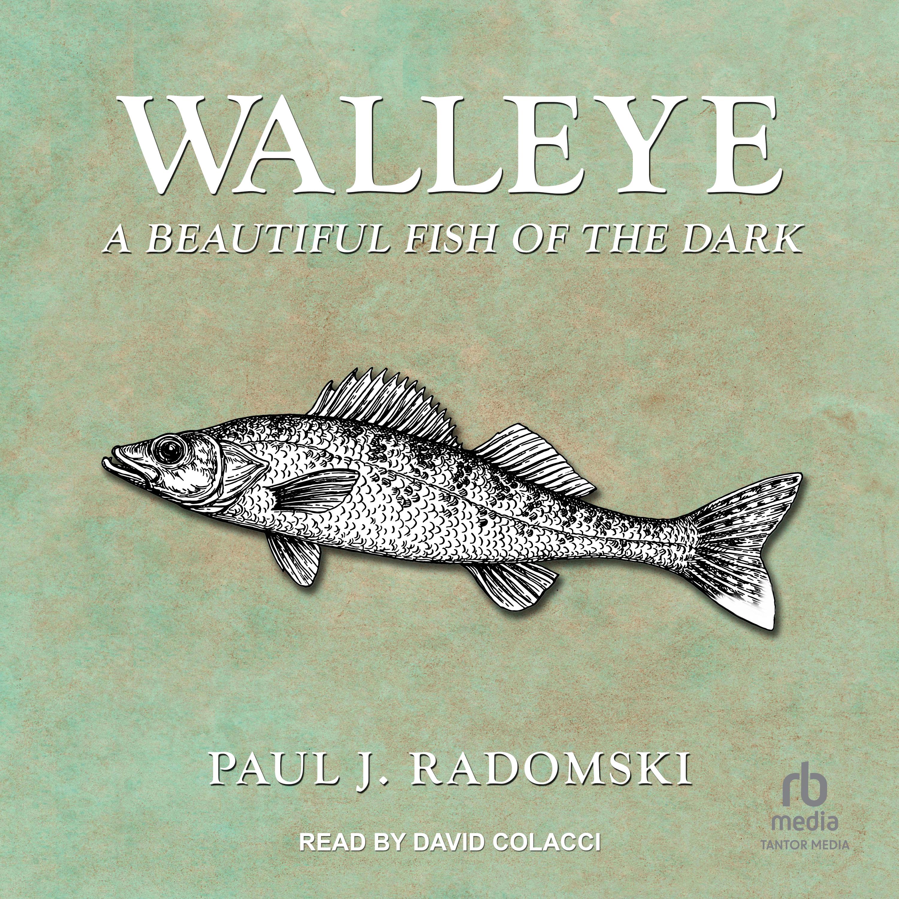 Walleye