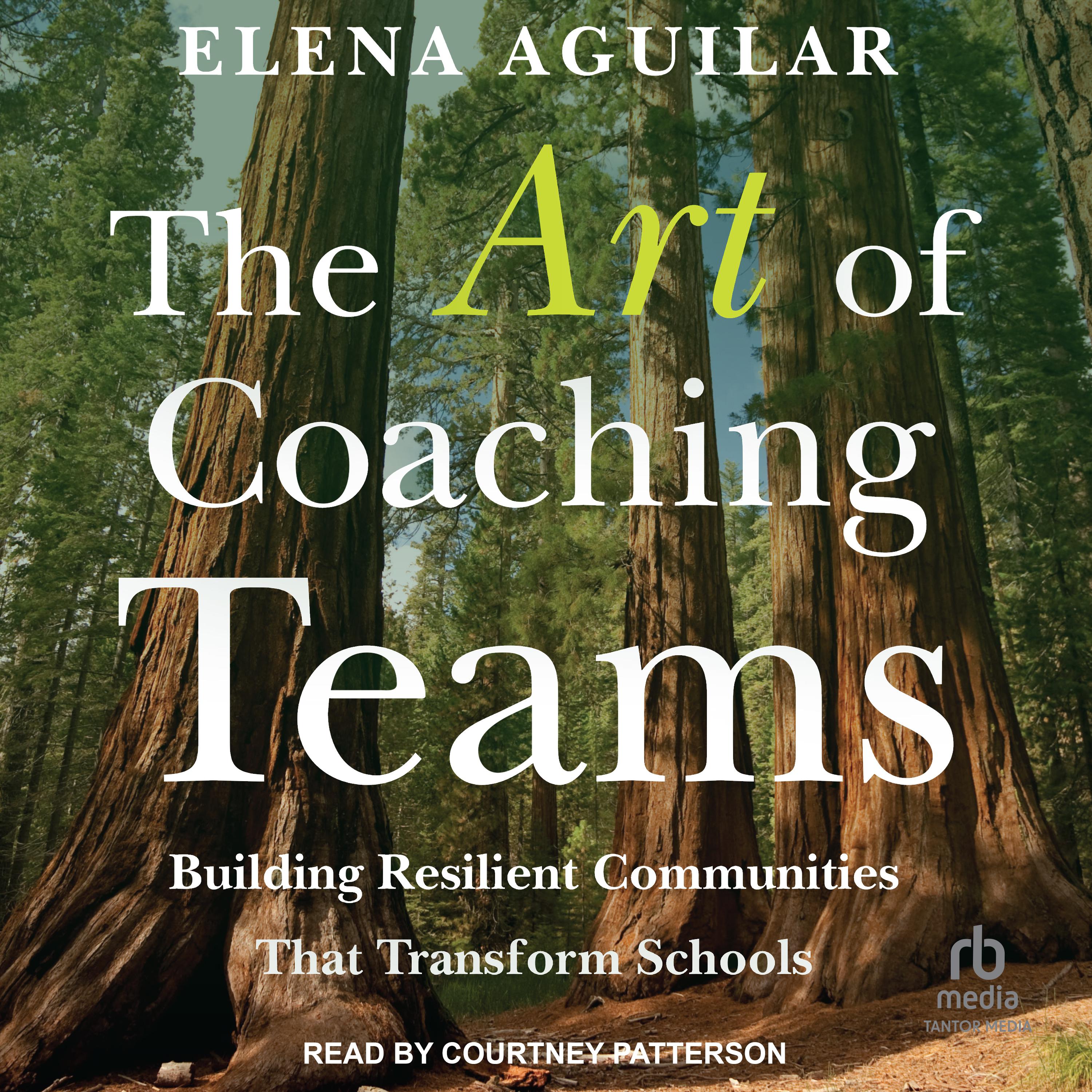The Art of Coaching Teams
