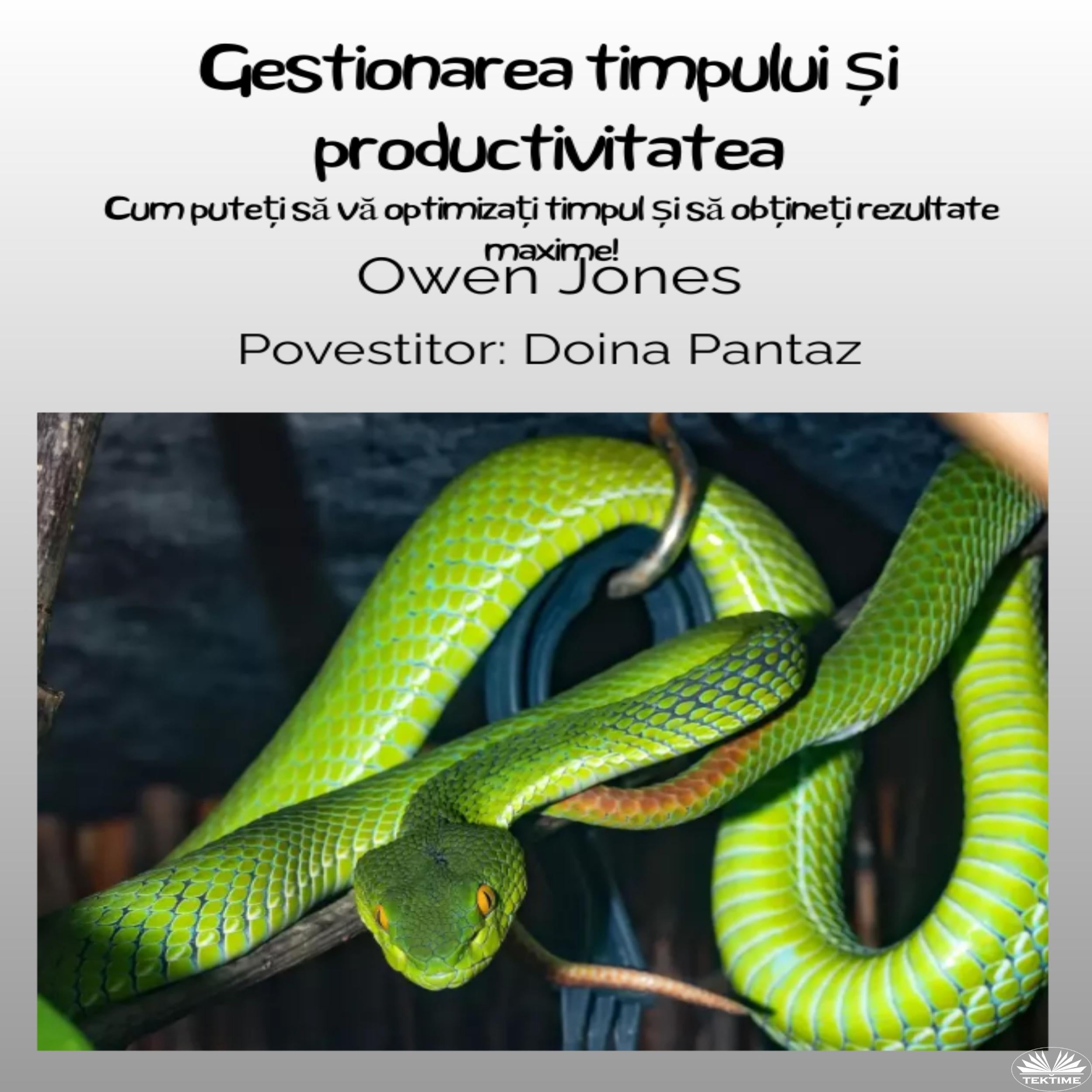Gestionarea Timpului Și Productivitatea