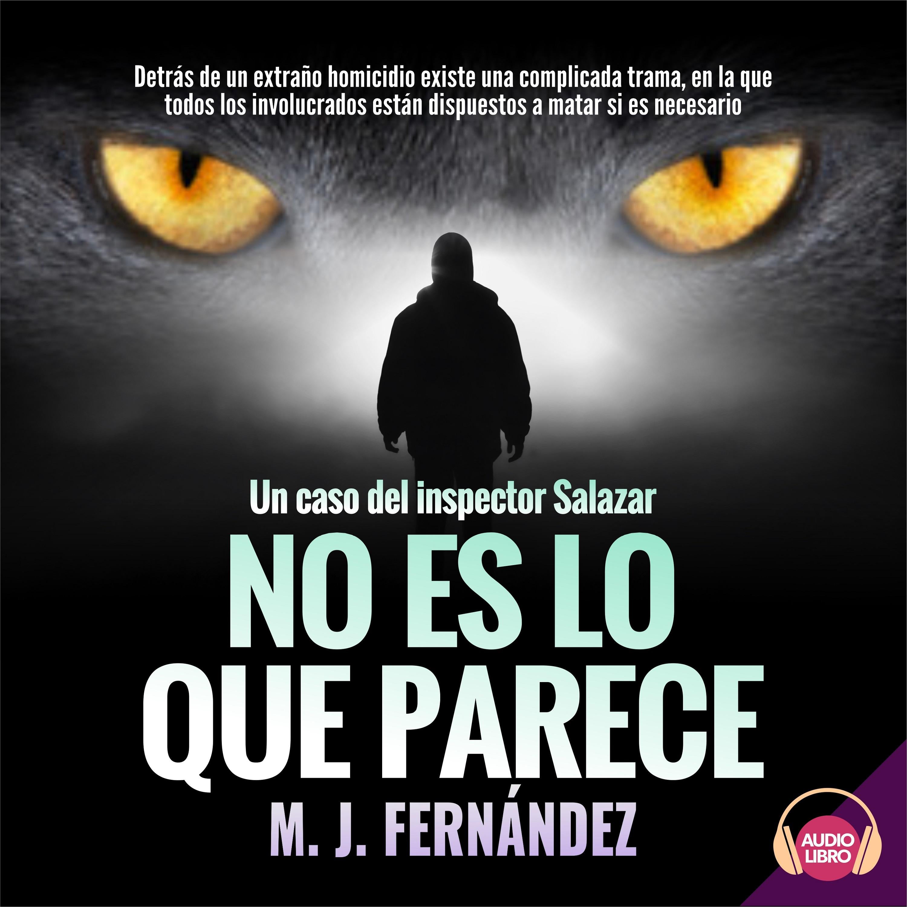No es lo que parece. Un caso del inspector Salazar. Serie del inspector Salazar 1.