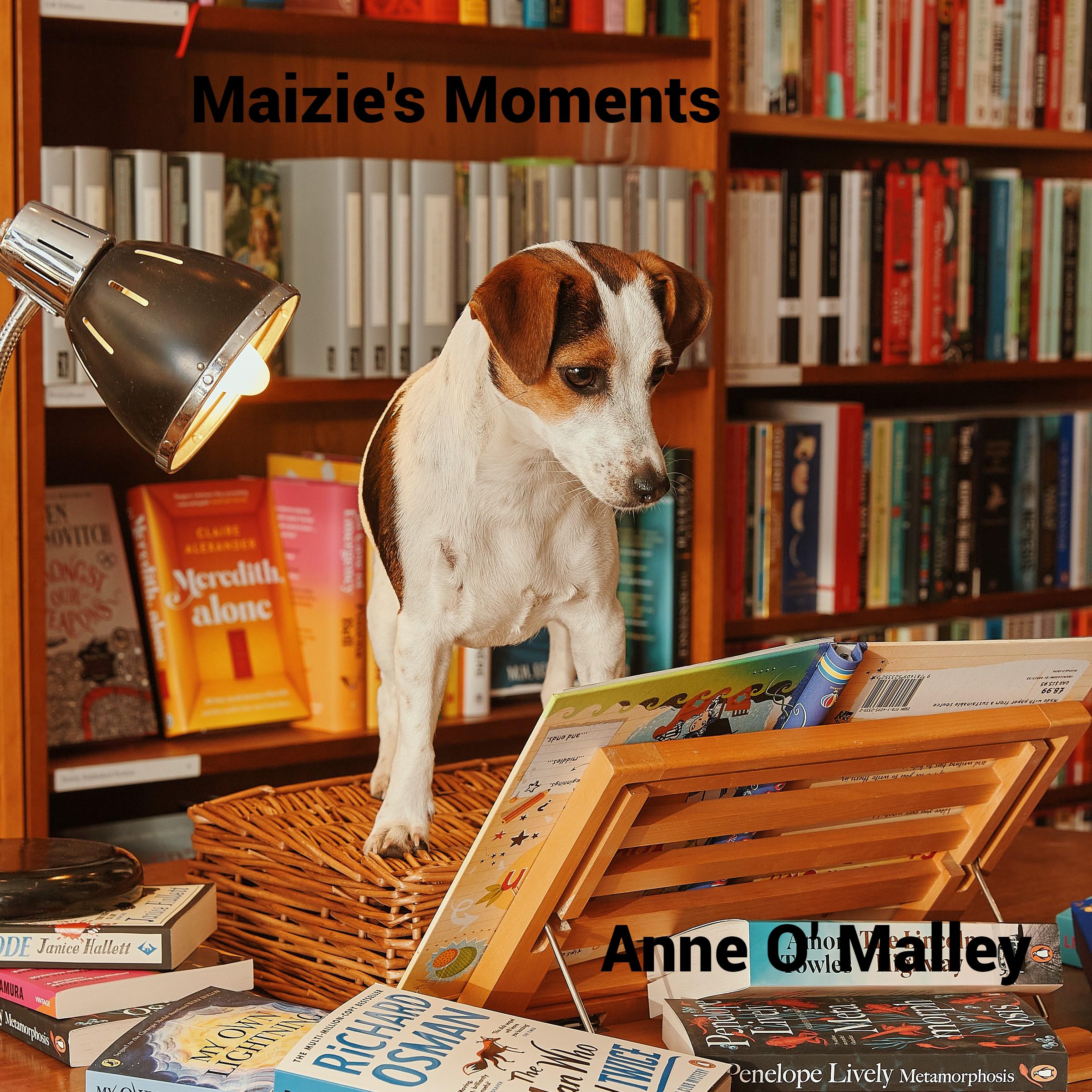 Maizie's Moments