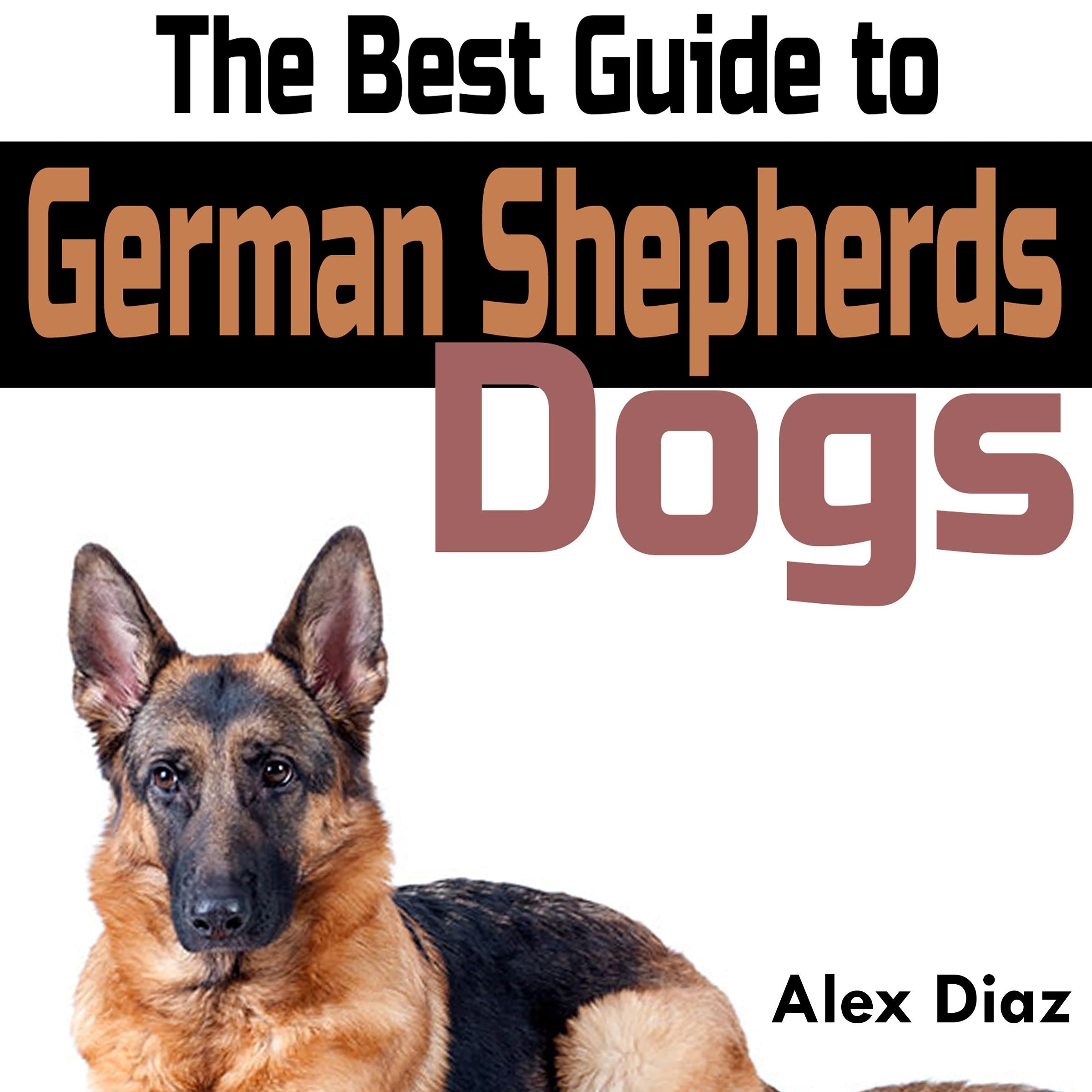 The Best Guide to German Shepherds Dogs