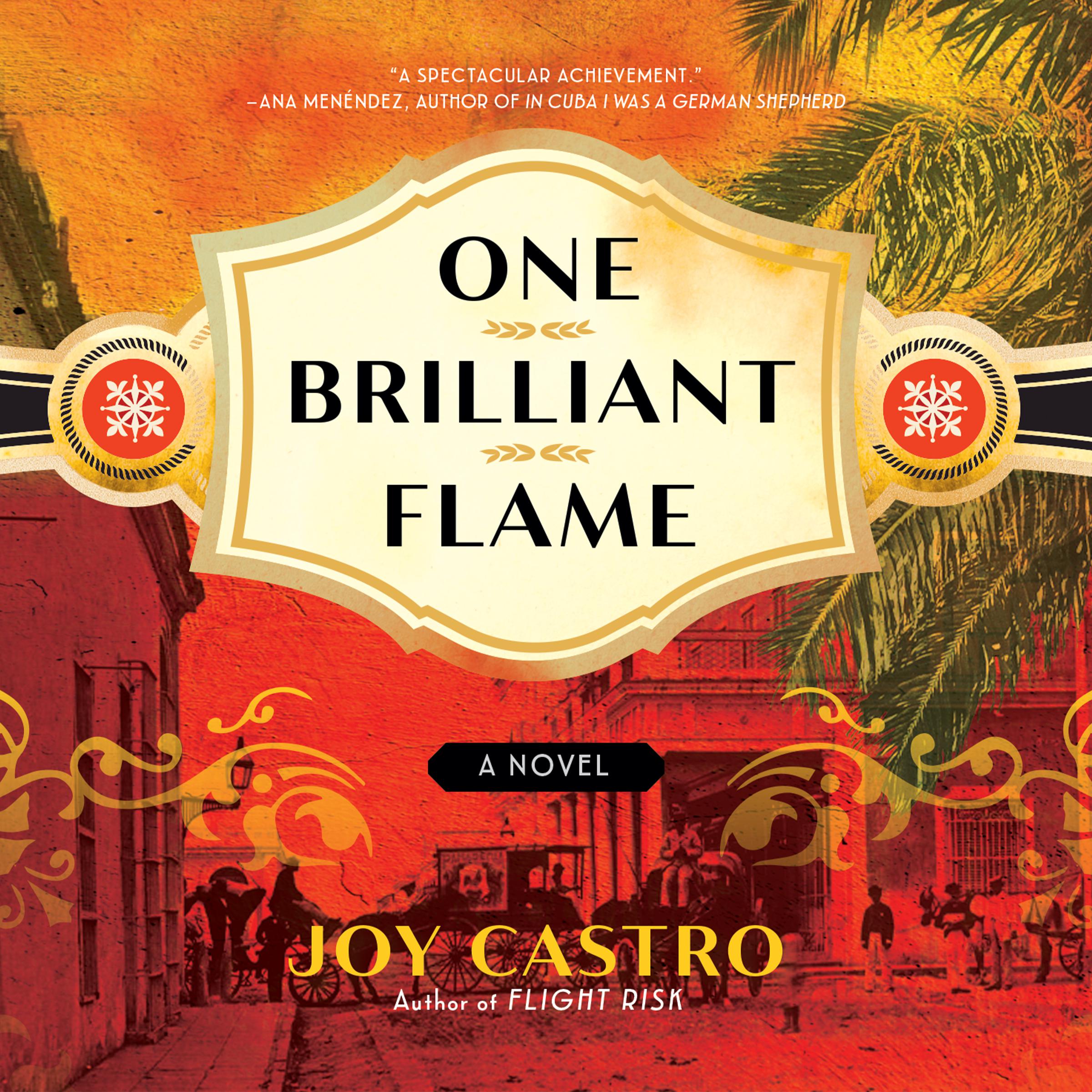 One Brilliant Flame