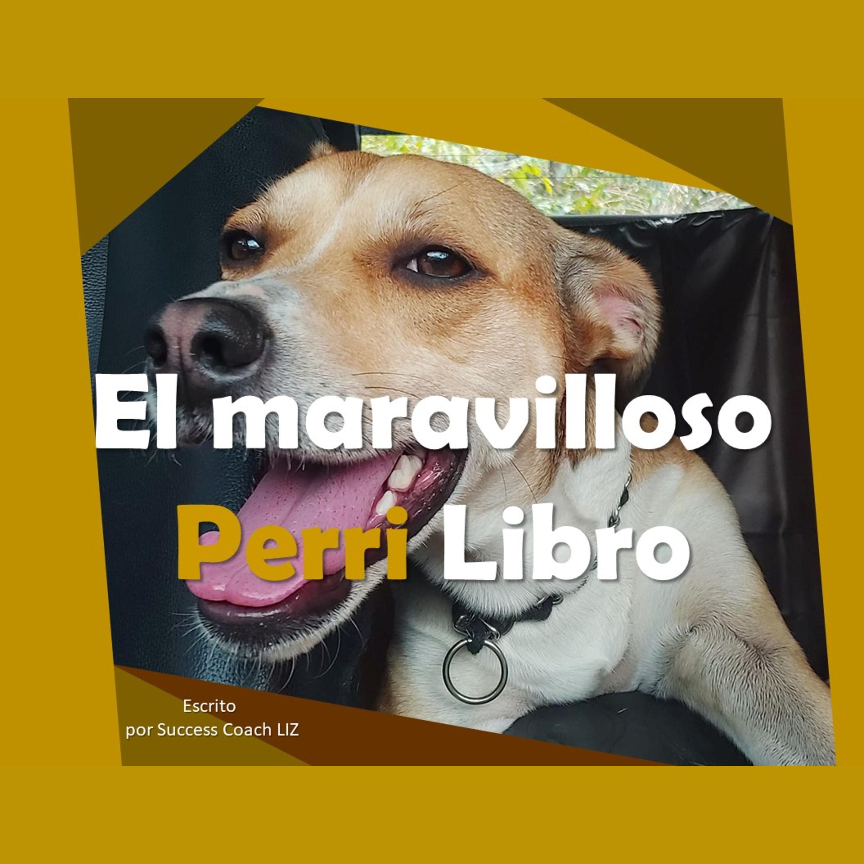 El Maravilloso PerriLibro