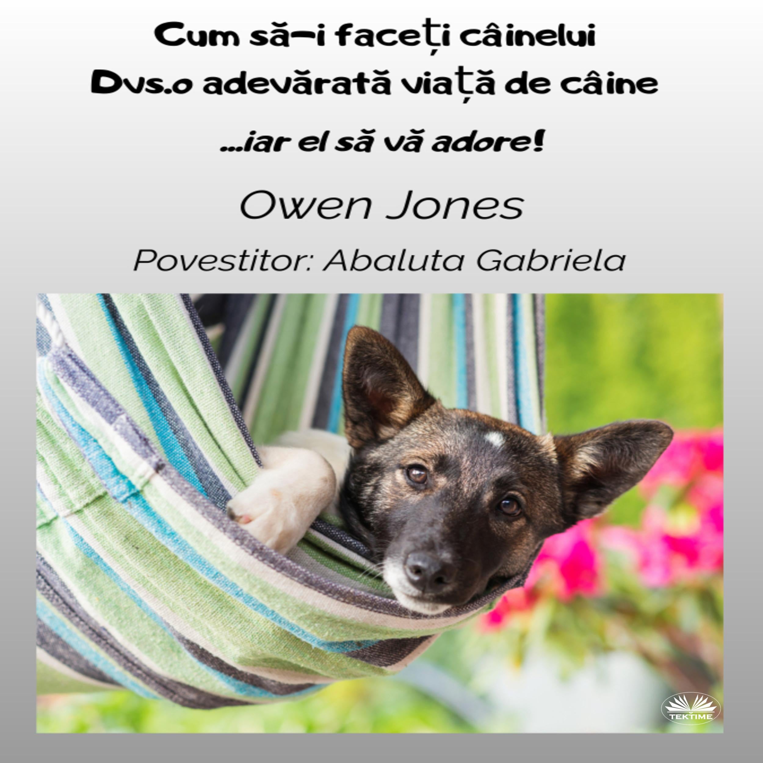 Cum Să-i Faceți CâineluiDvs.o Adevărată Viață De Câine