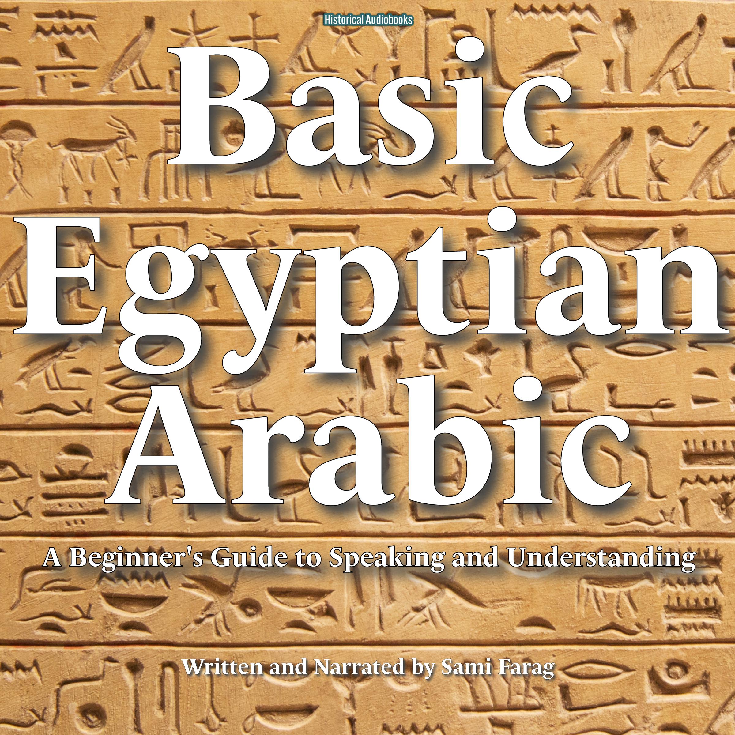 Basic Egyptian Arabic