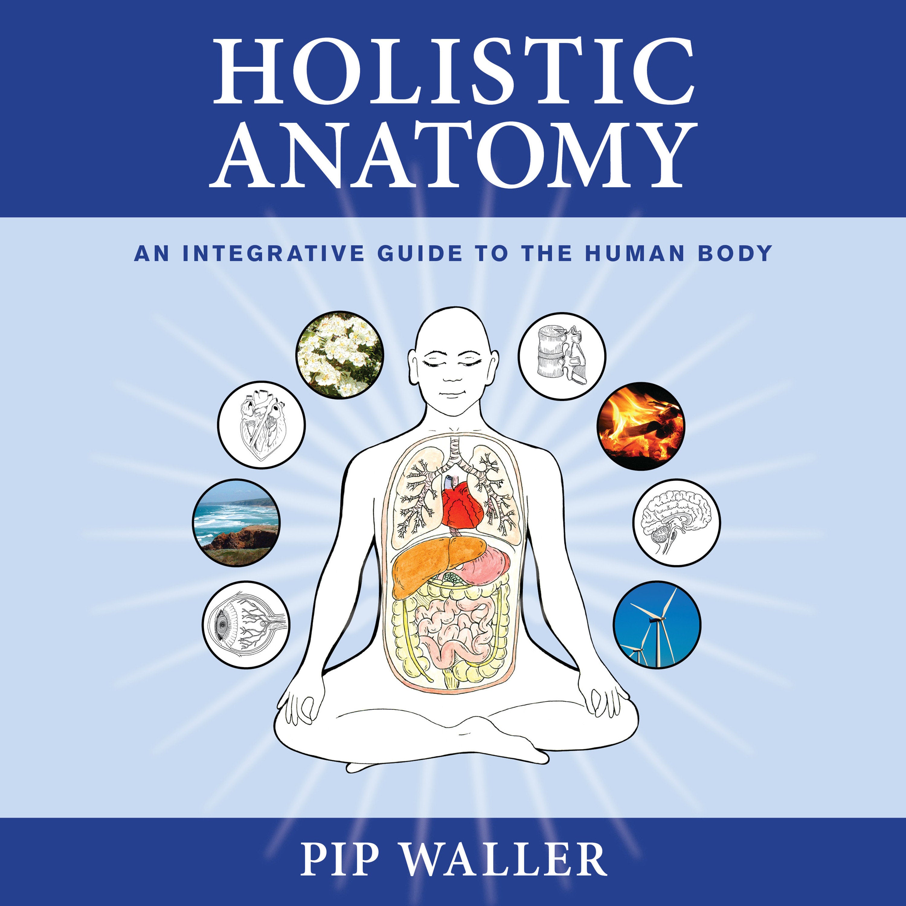 Holistic Anatomy