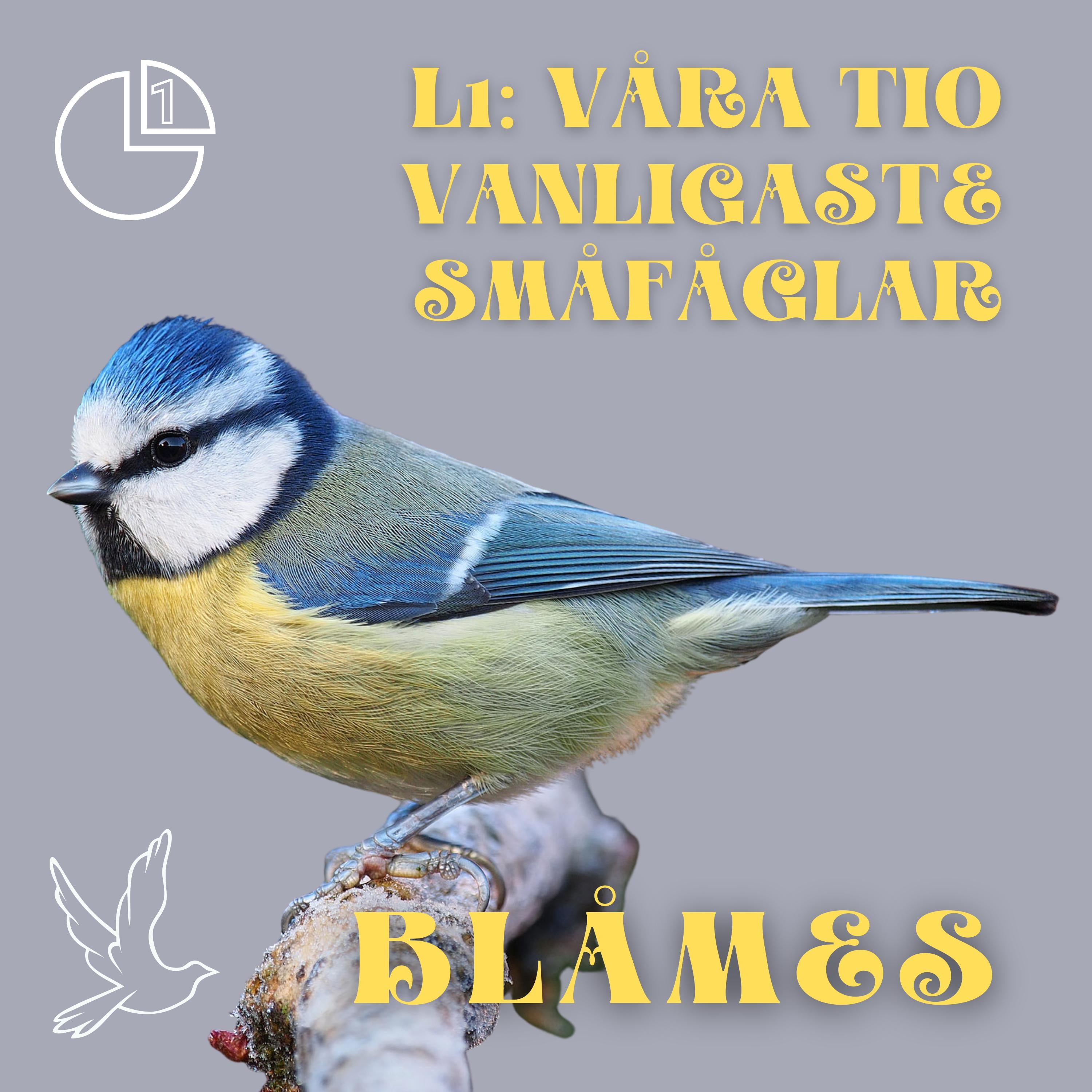 Blåmes