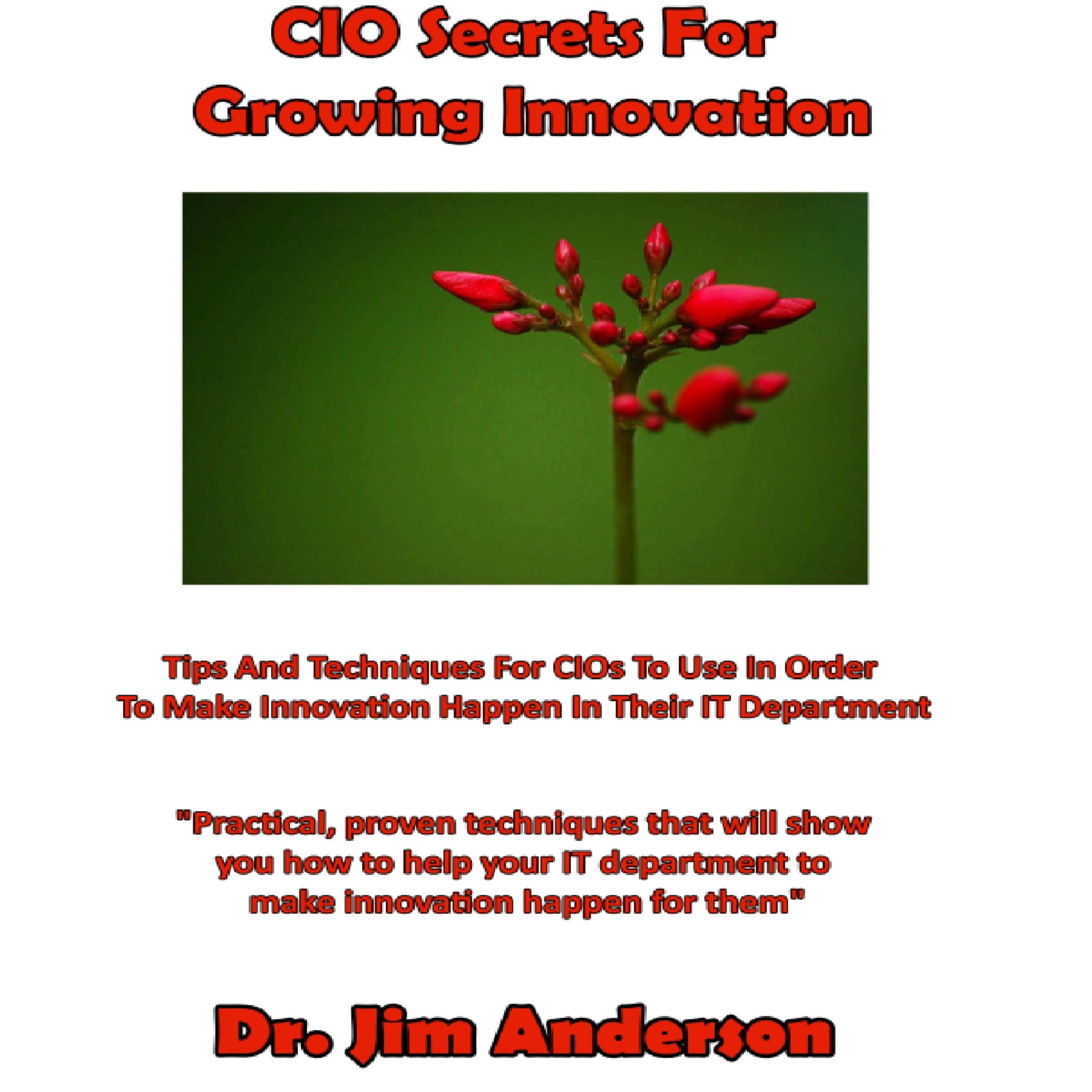 CIO Secrets for Growing Innovation