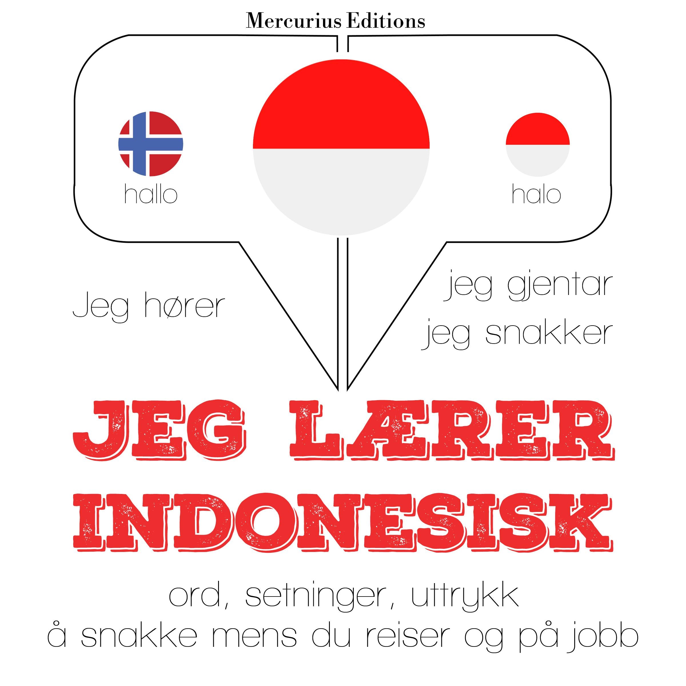 Jeg lærer indonesisk