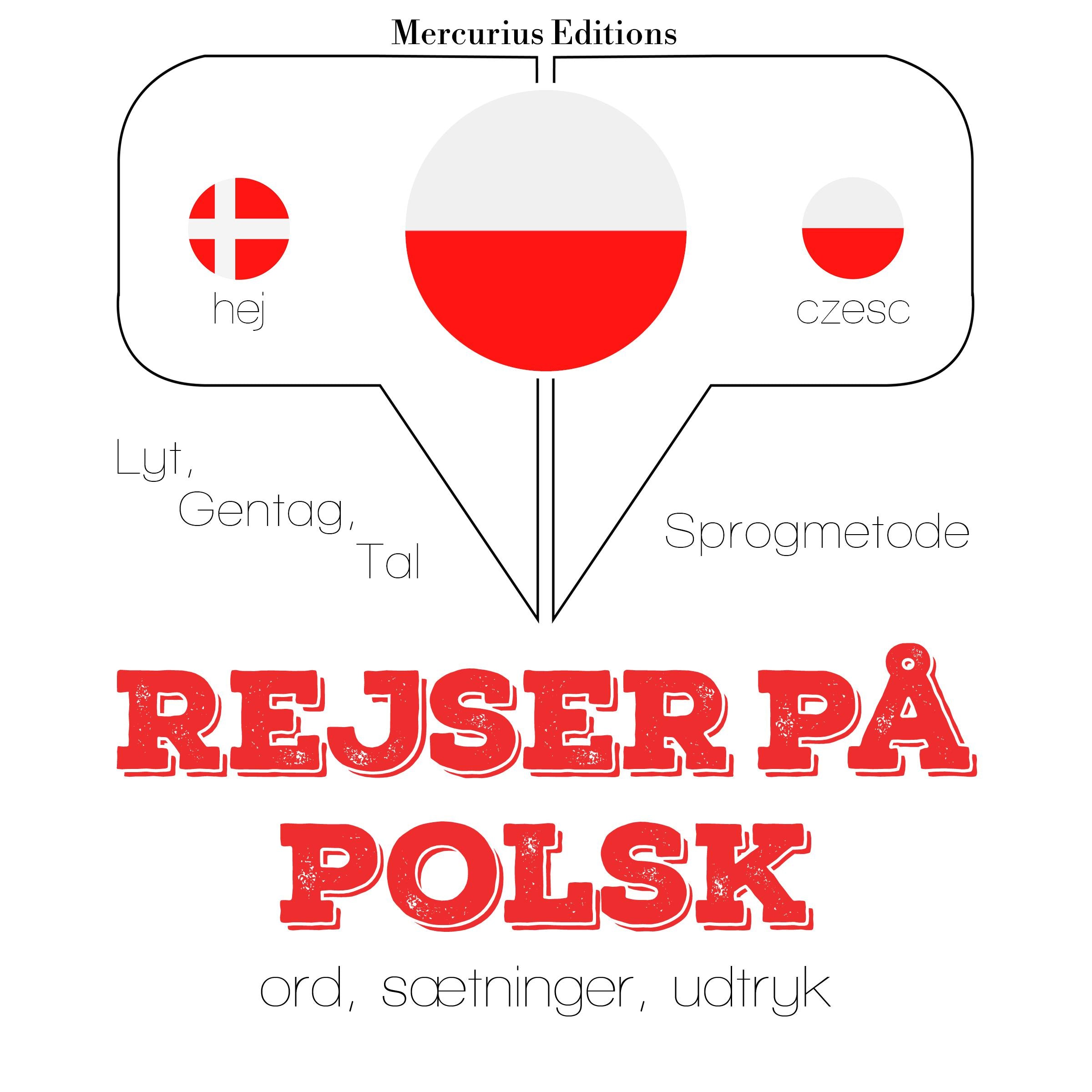 Rejser på polsk