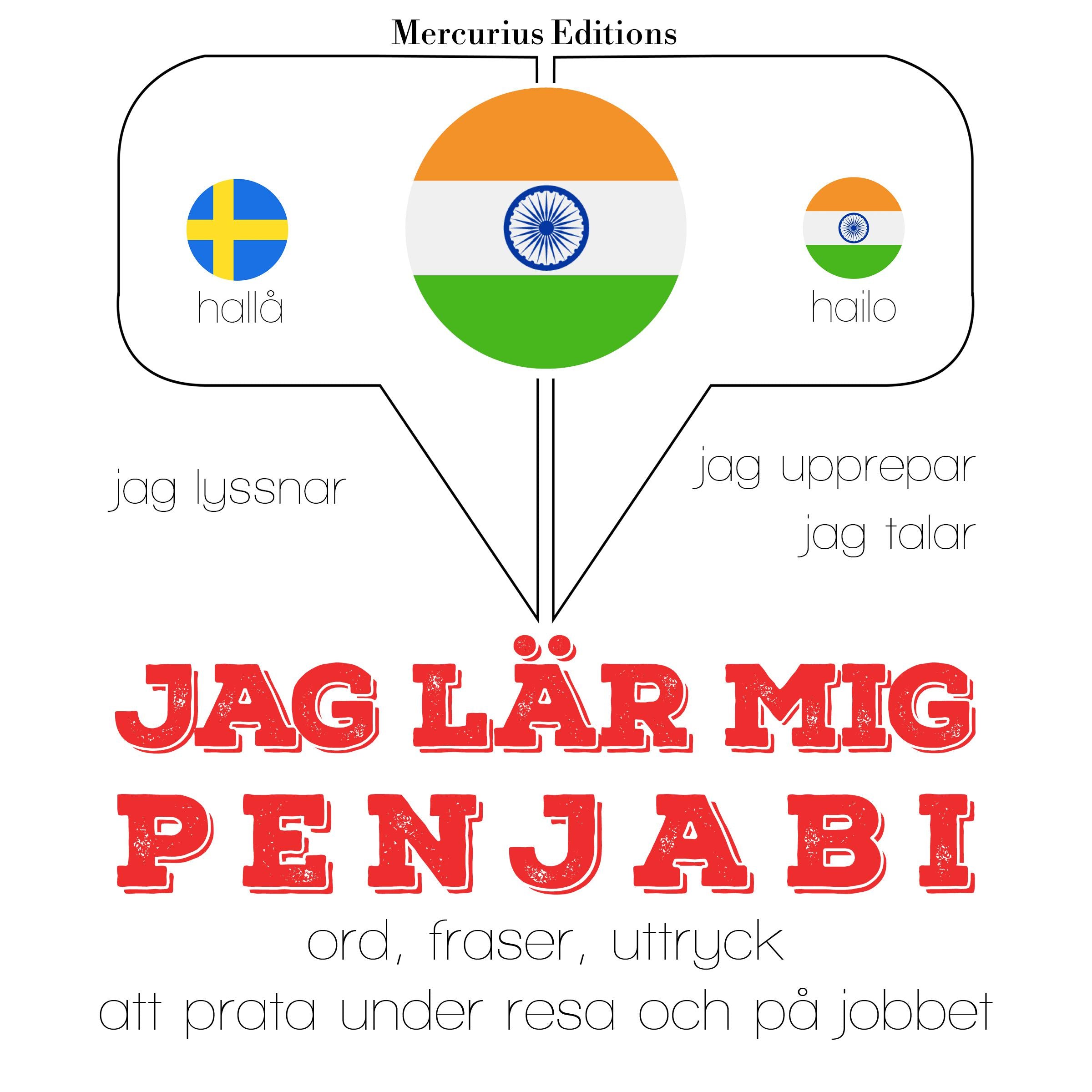 Jag undervisar penjabi