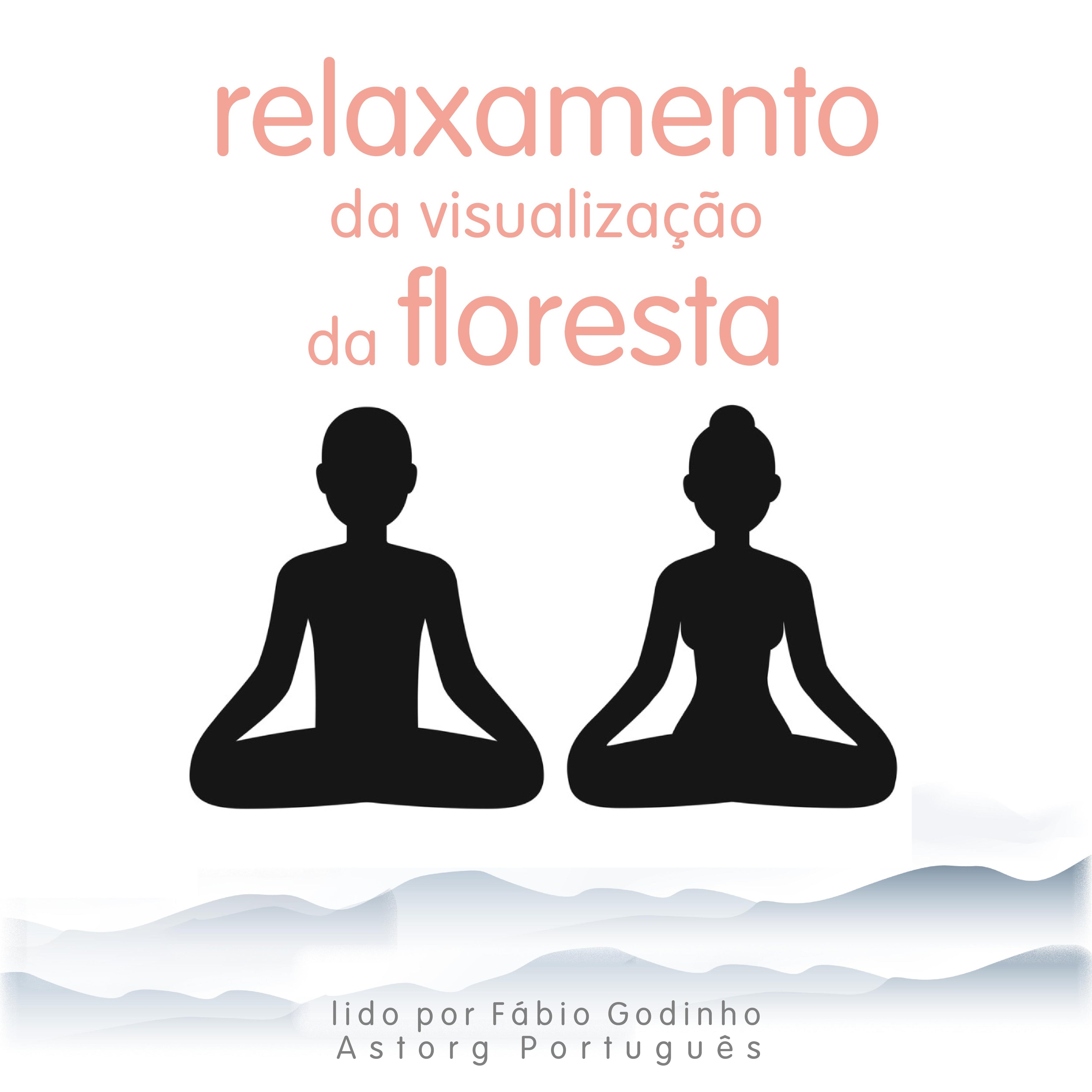 Relaxamento da visualização da floresta