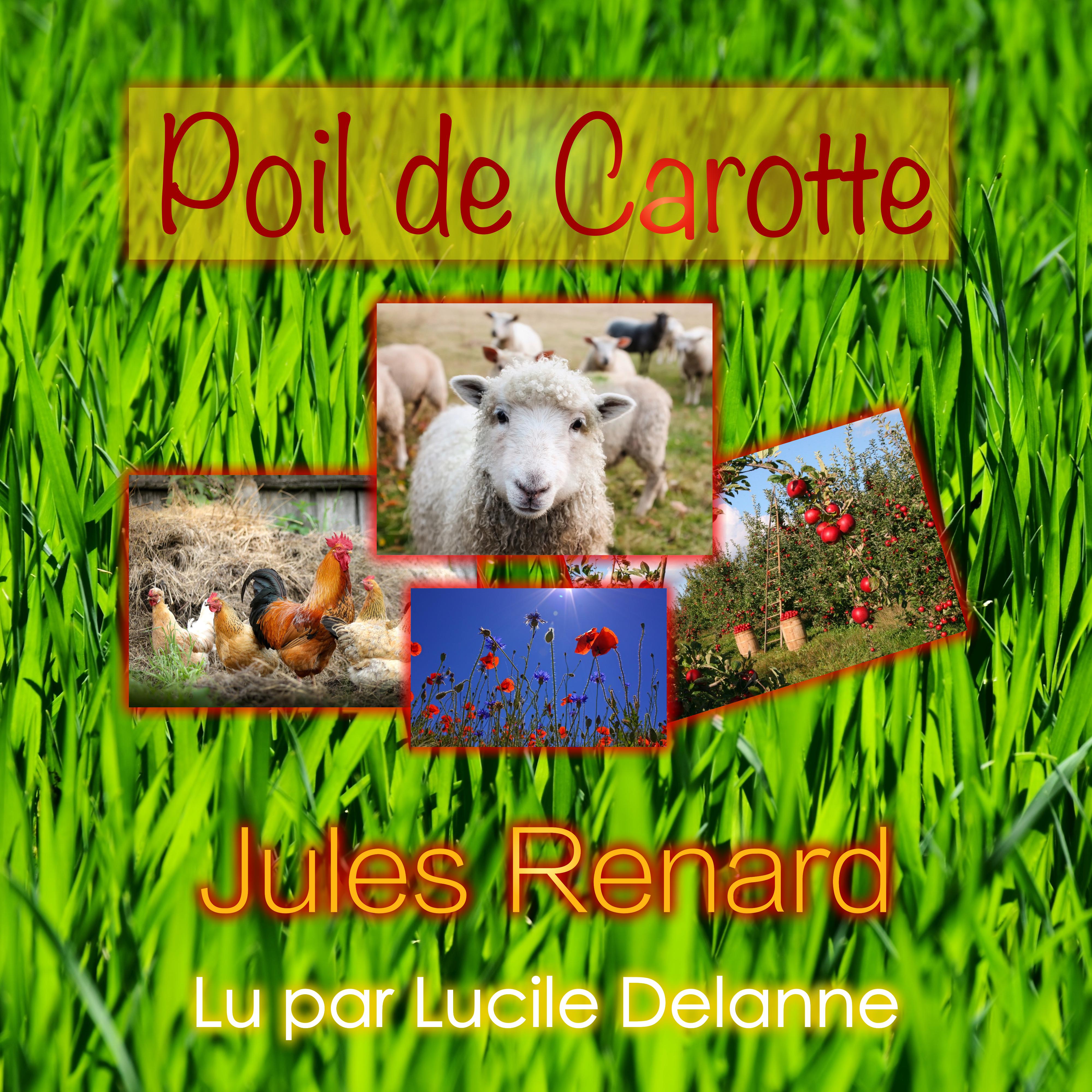Poil de Carotte