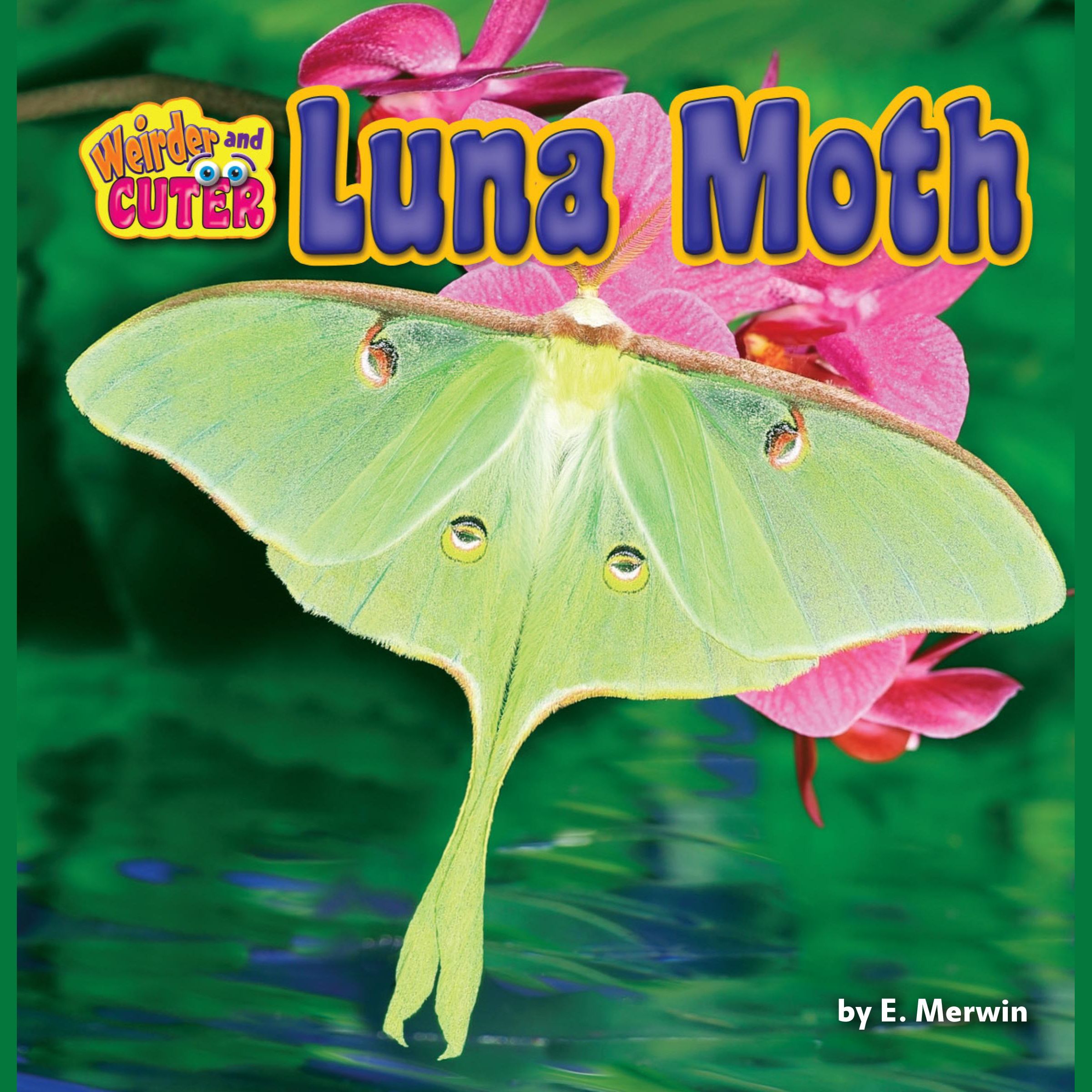 Luna Moth
