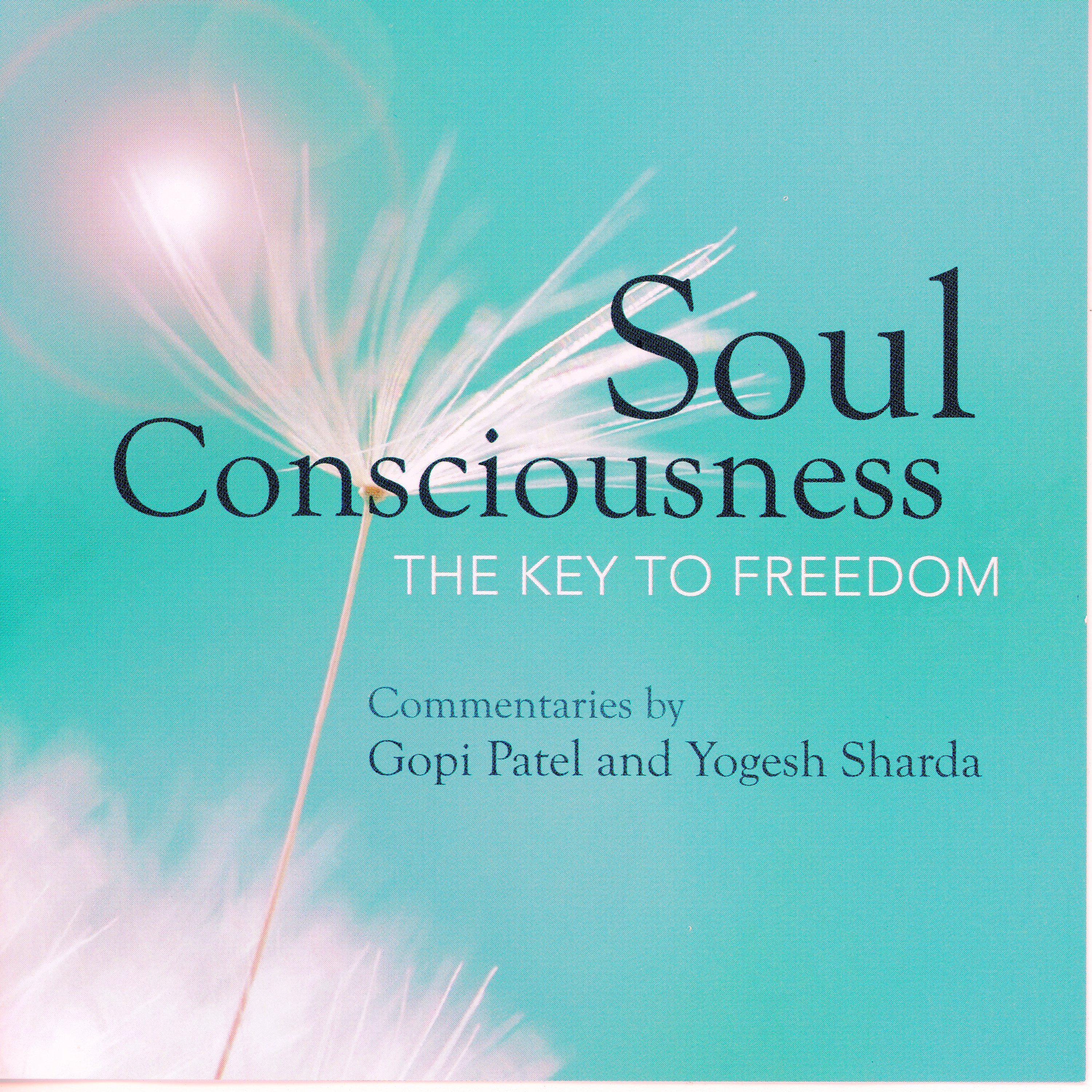 Soul Consciousness