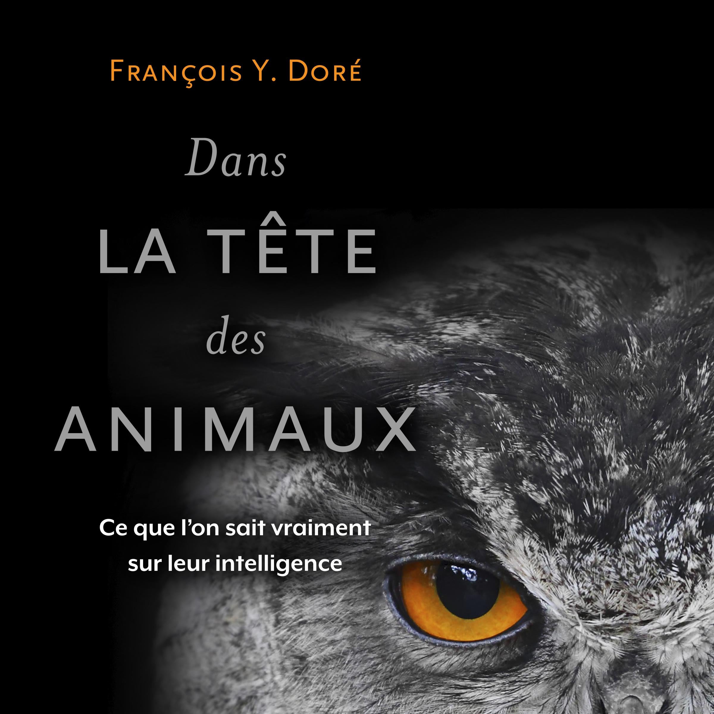 Dans la tête des animaux
