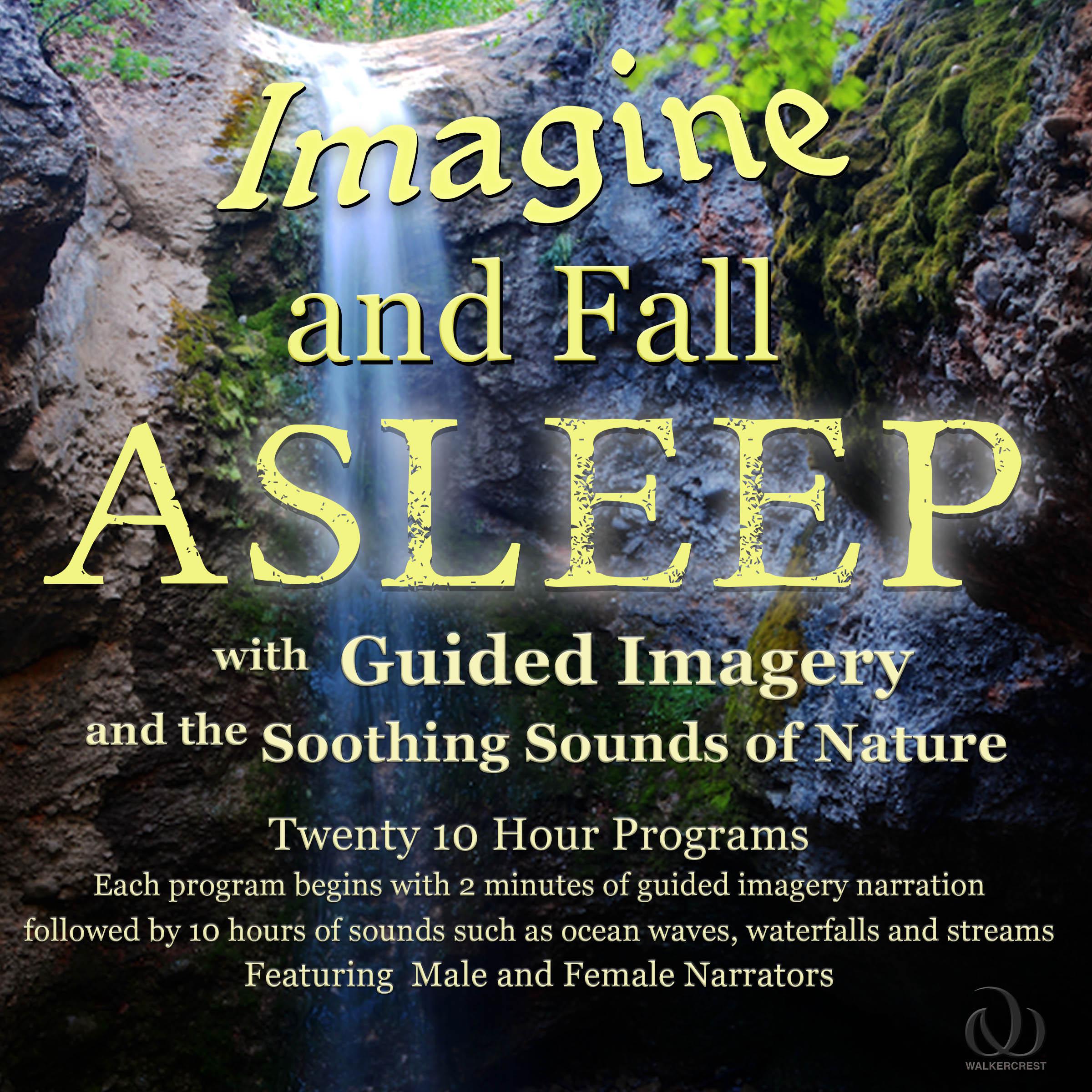 Imagine and Fall Asleep