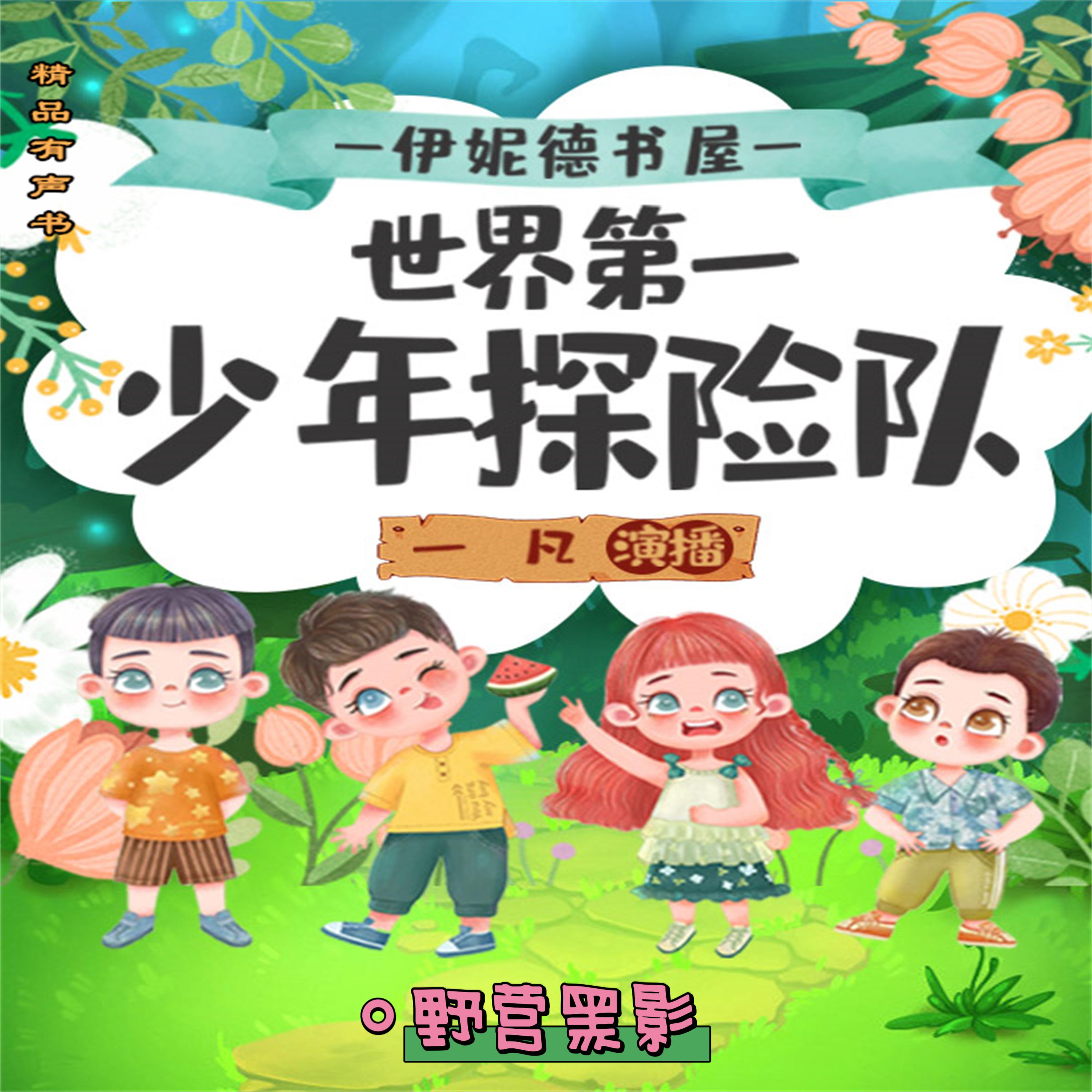 伊妮德书屋:世界第一少年探险队.野营黑影