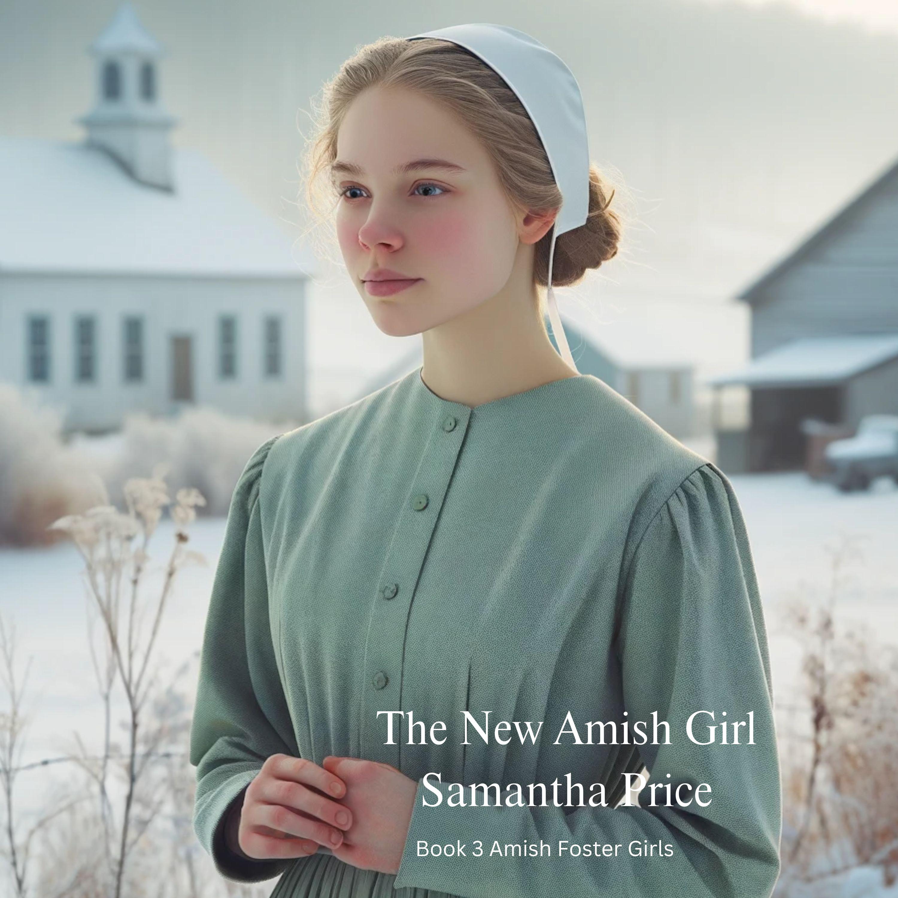 The New Amish Girl