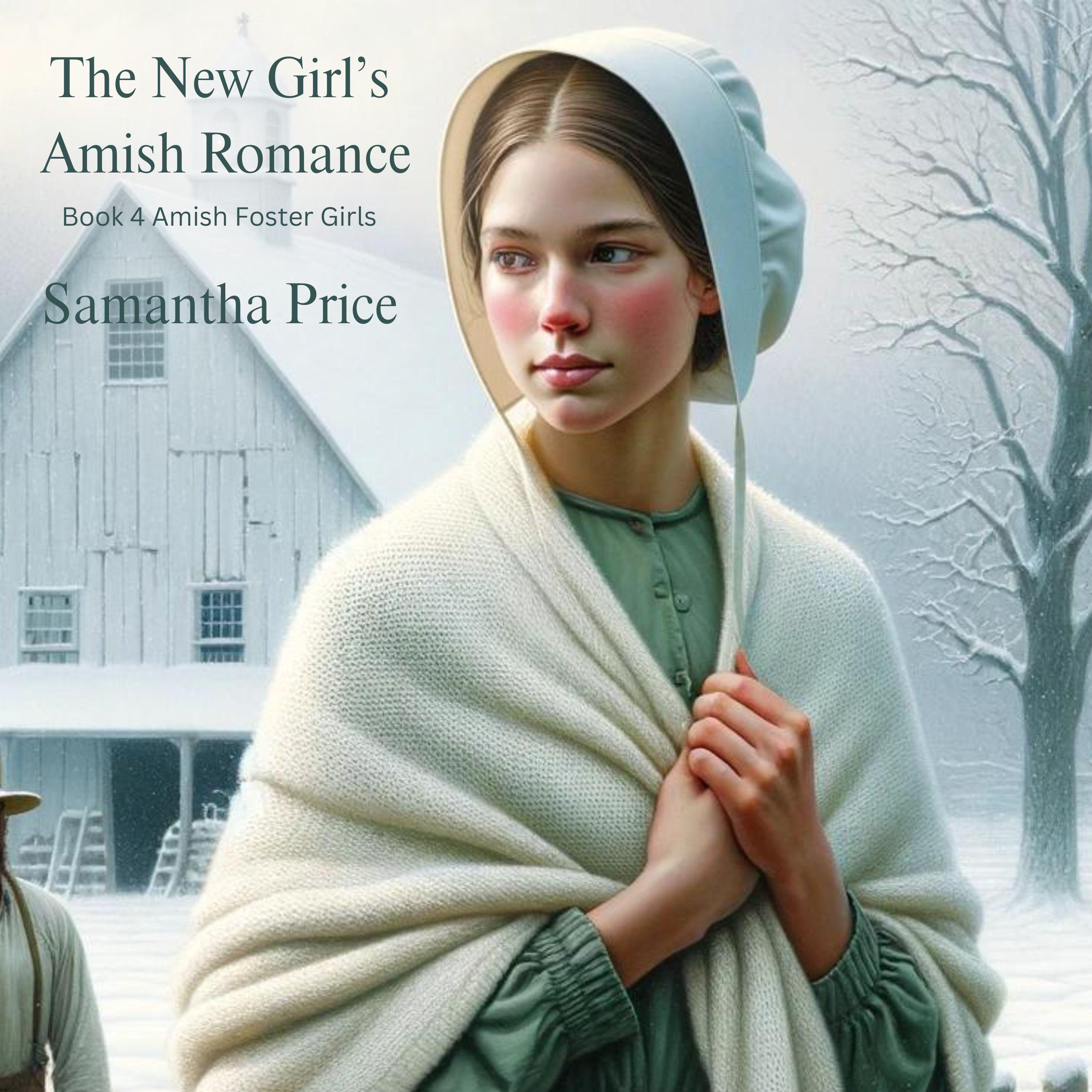 The New Girl's Amish Romance