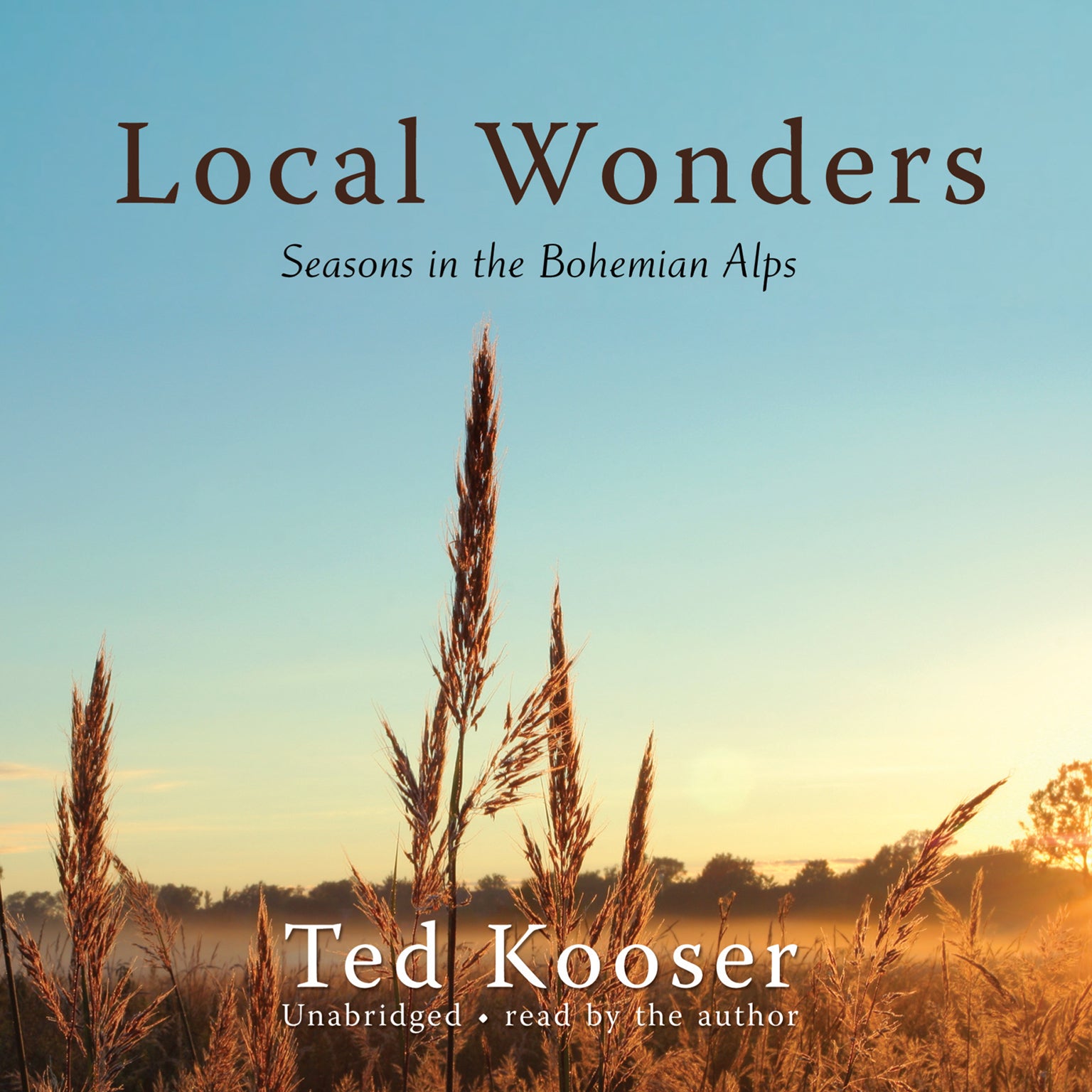 Local Wonders