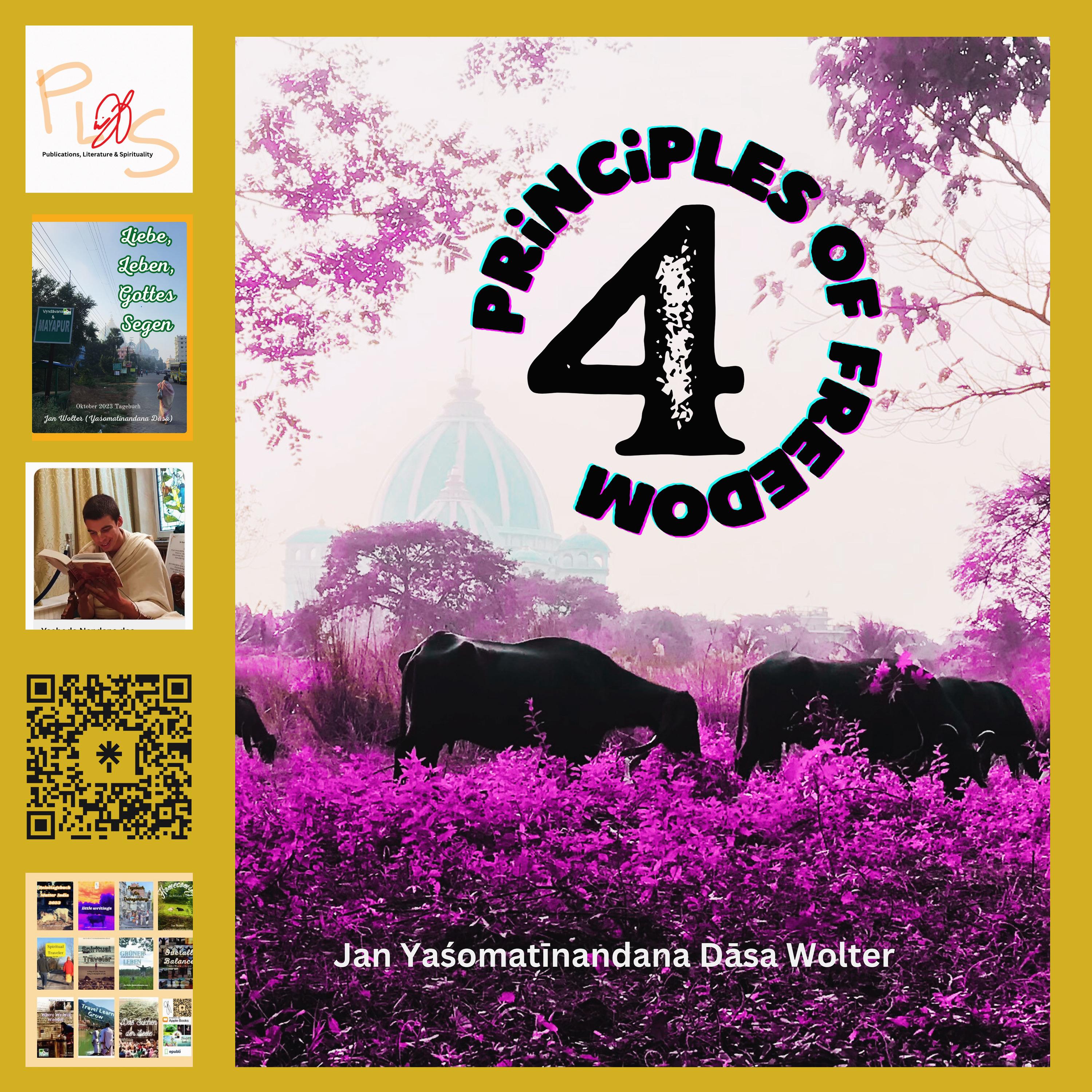 4 Principles of Freedom