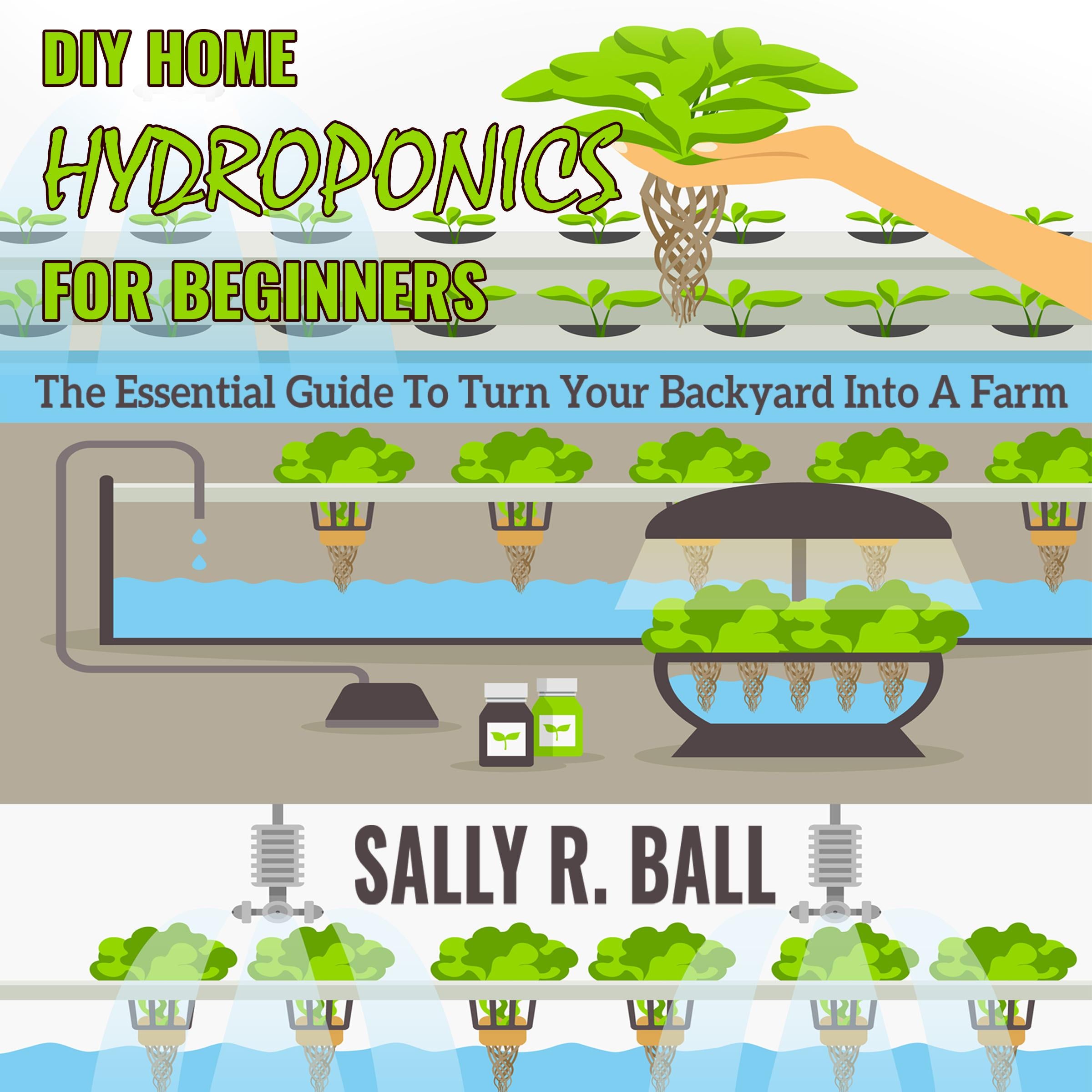 DIY Home Hydroponics For Beginners