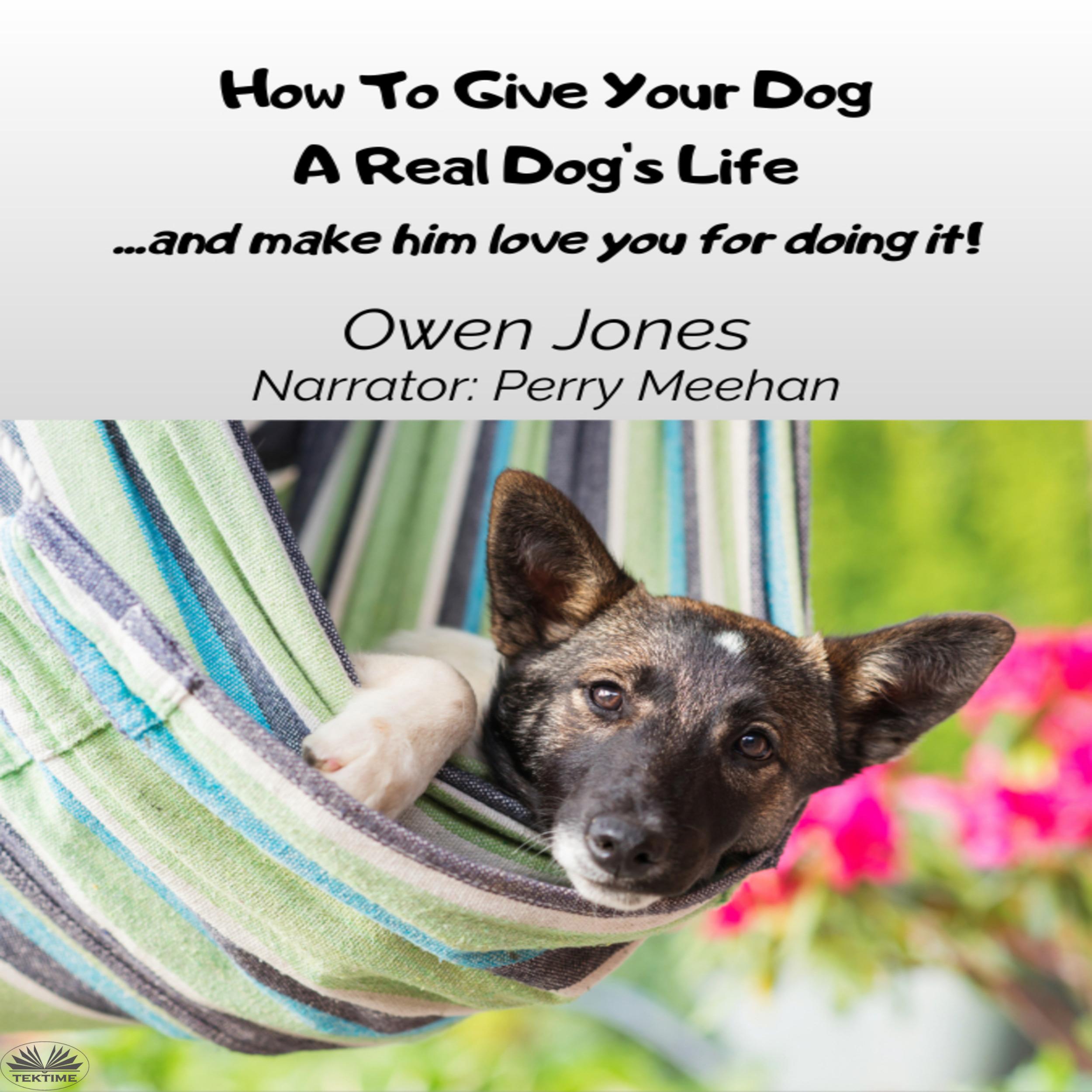 How To Give Your Dog A Real Dog`s Life