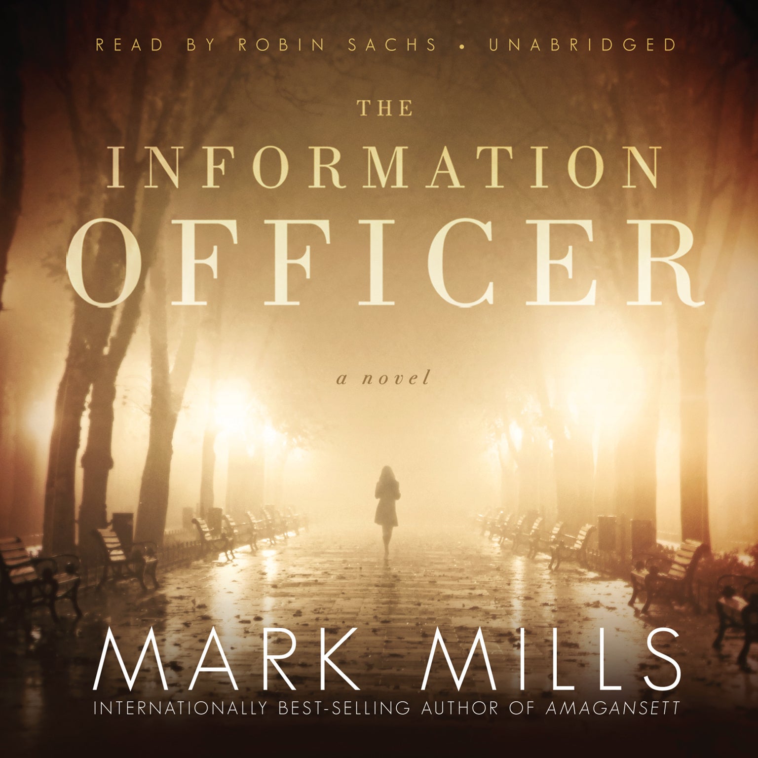 The Information Officer