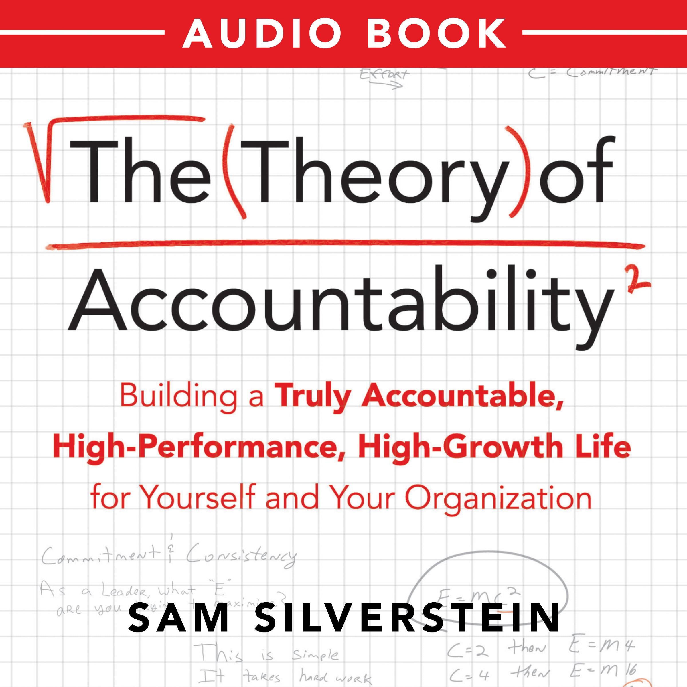 The Theory of Accountability