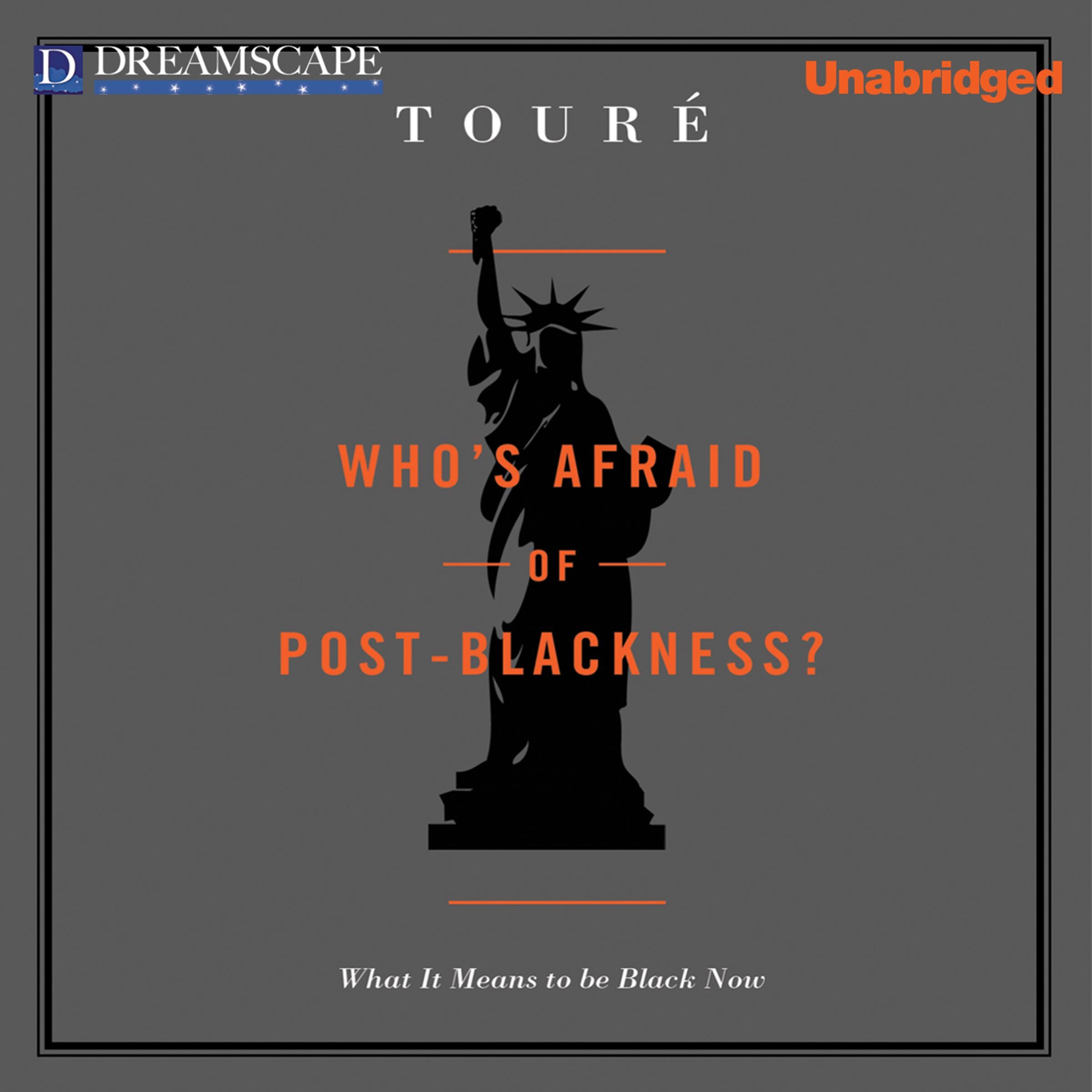Who's Afraid of Post-Blackness?