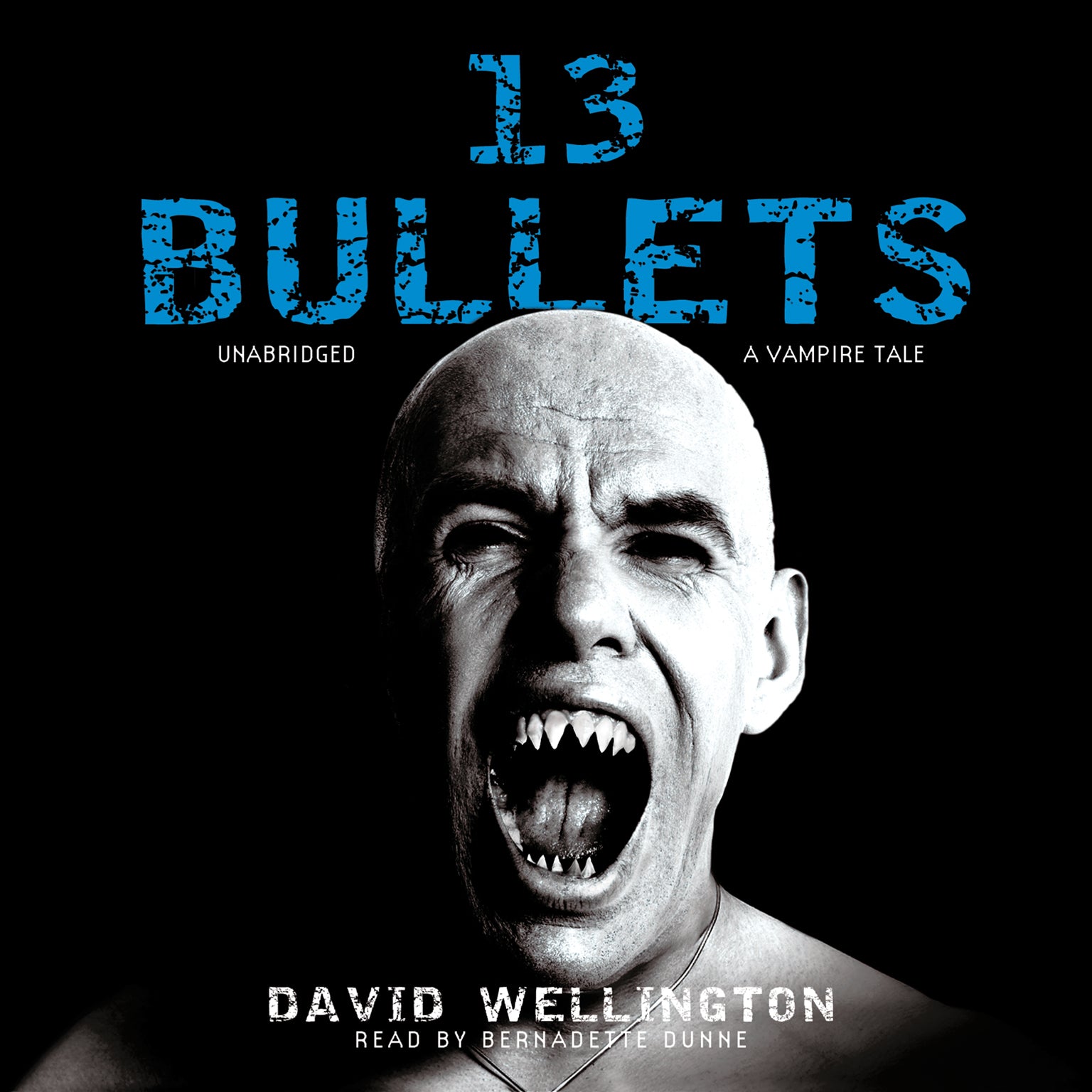 13 Bullets