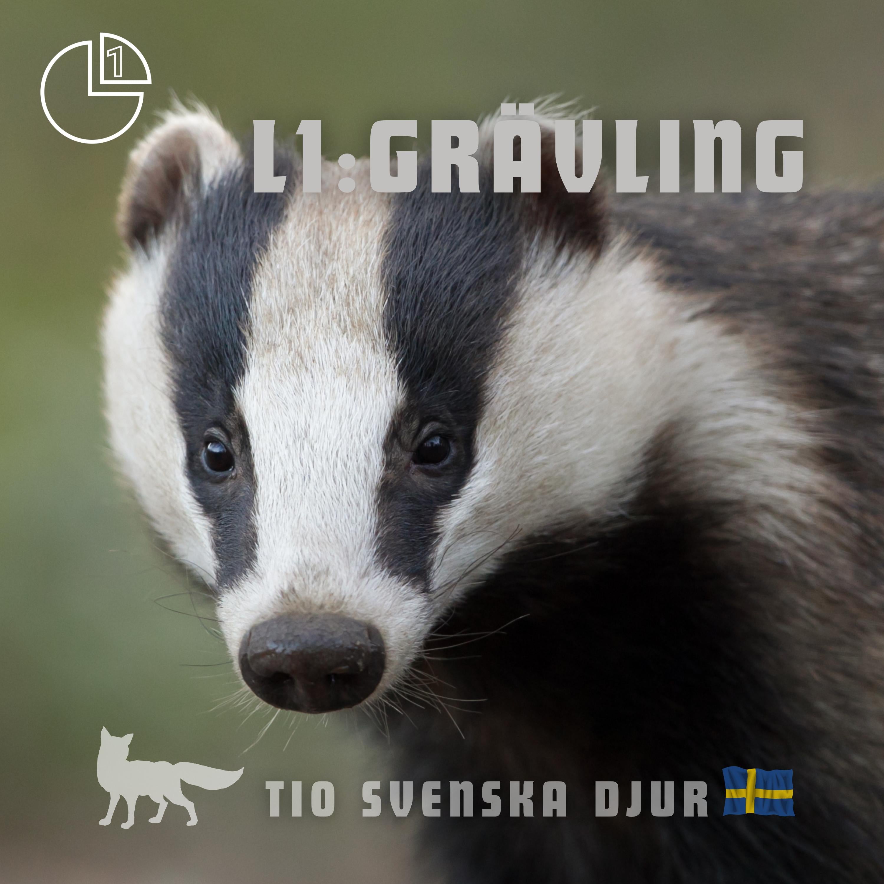 Grävling