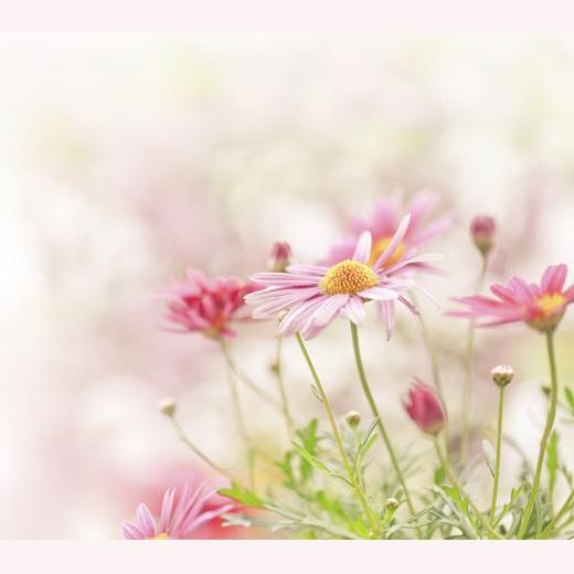 Meditation for Healthy Pregnancy (With Soothing Nature Sounds)