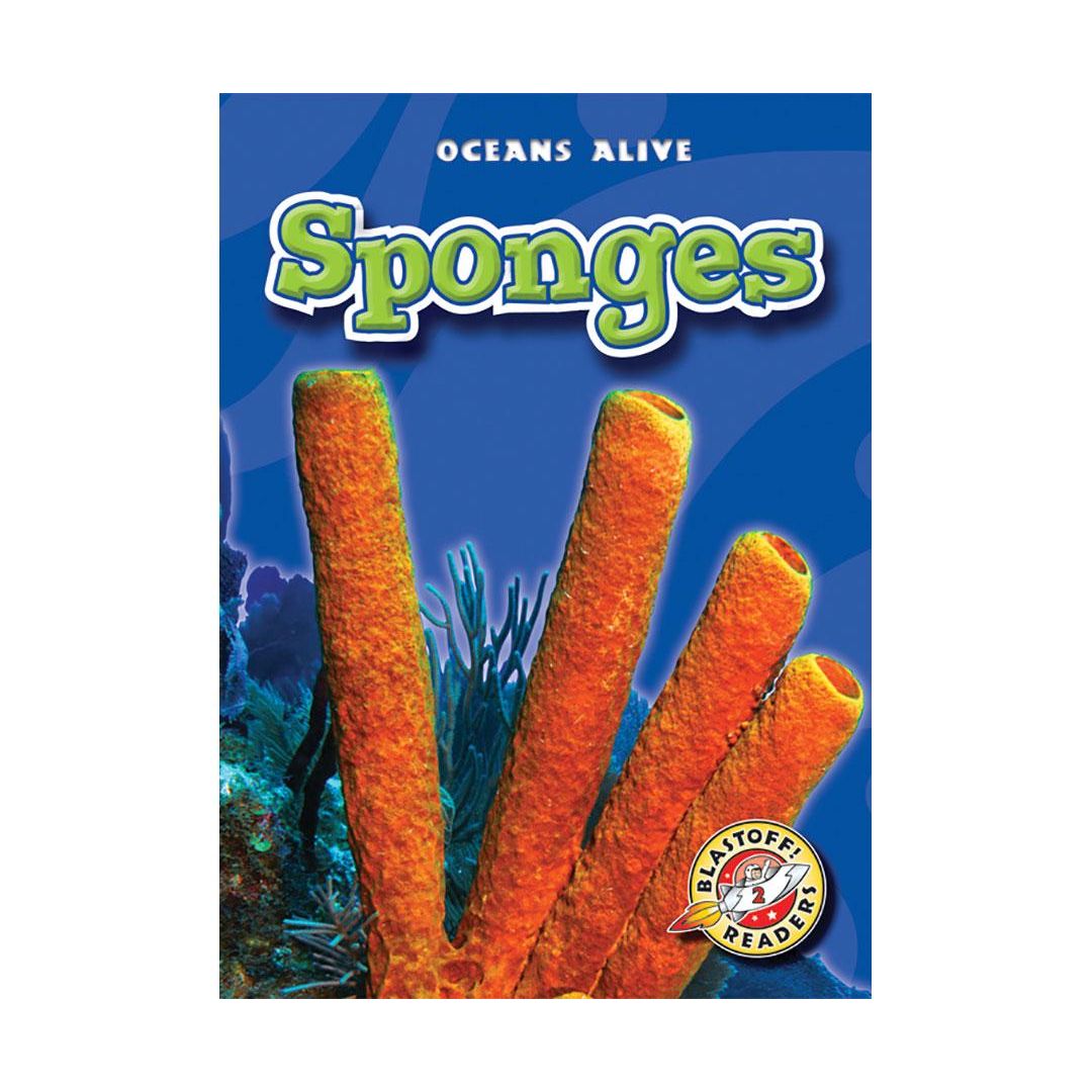Sponges