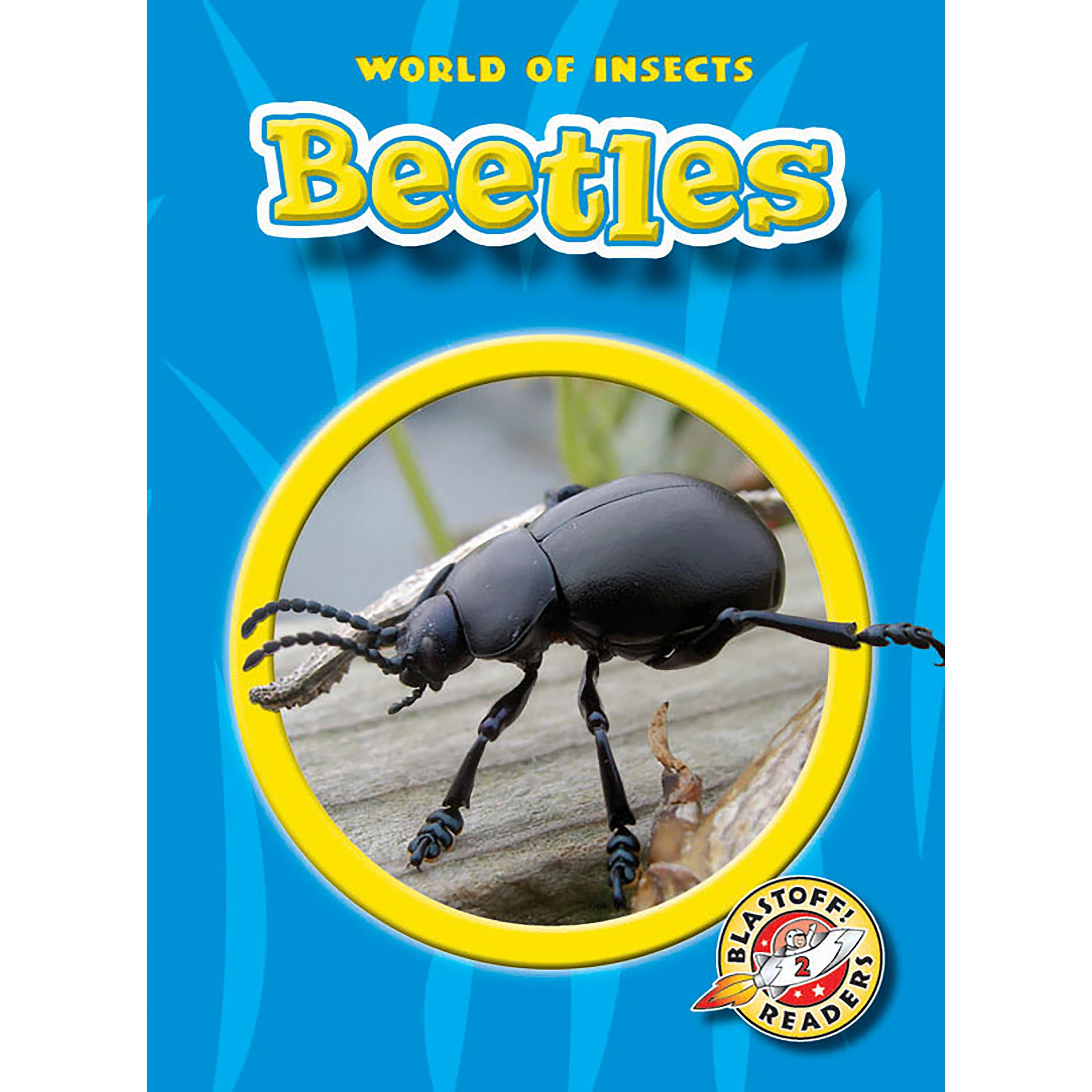 Beetles