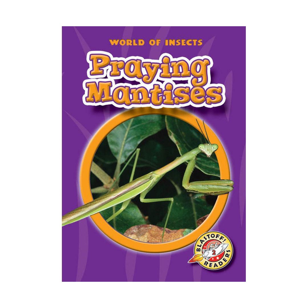 Praying Mantises