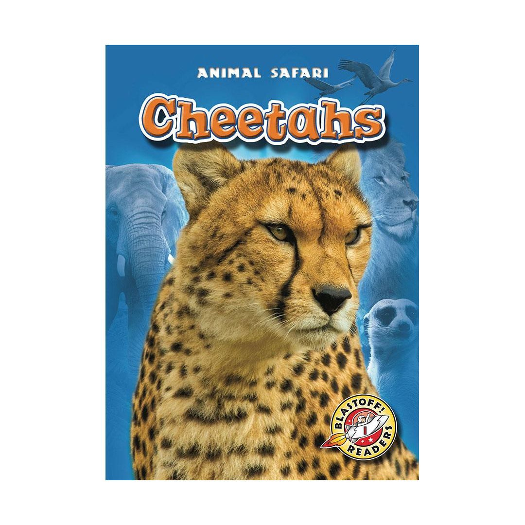 Cheetahs