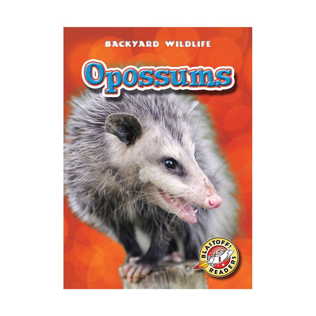 Opossums