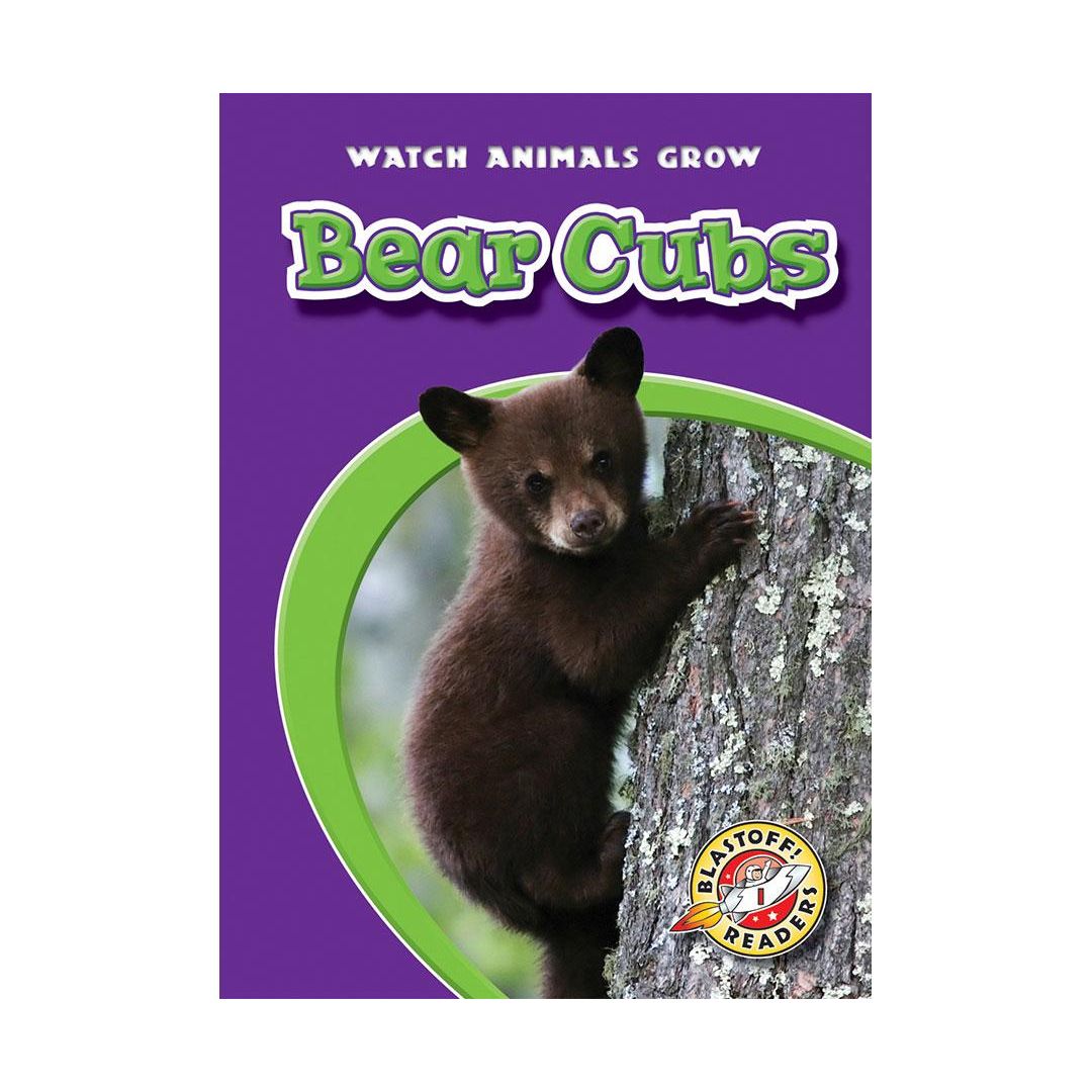 Bear Cubs