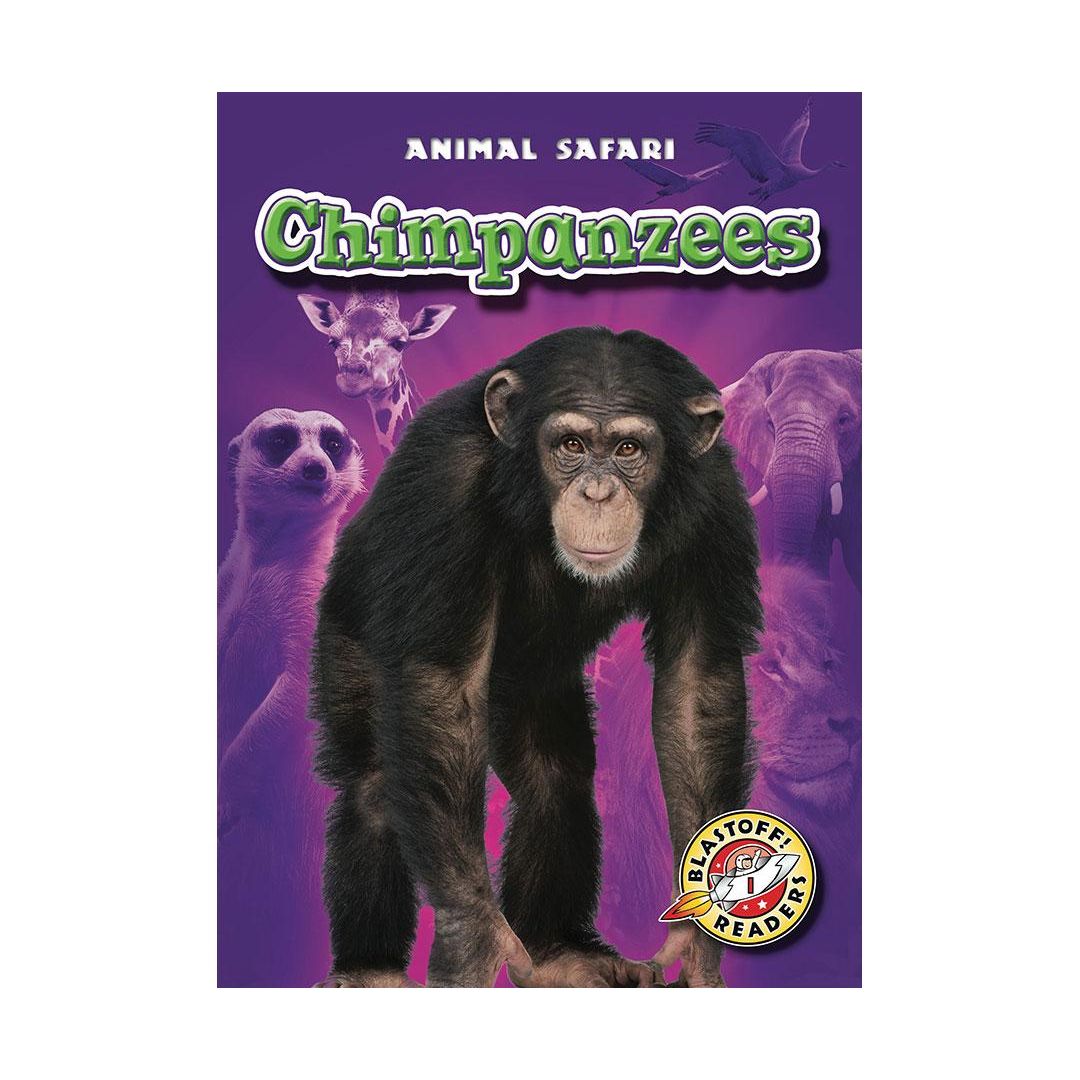 Chimpanzees
