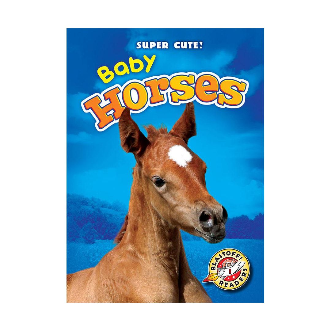 Baby Horses