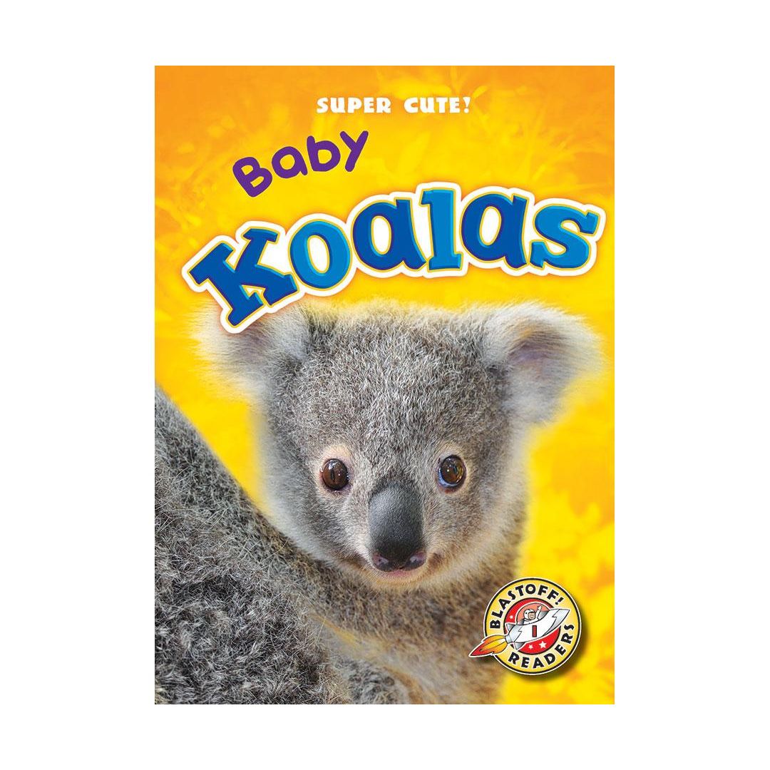 Baby Koalas